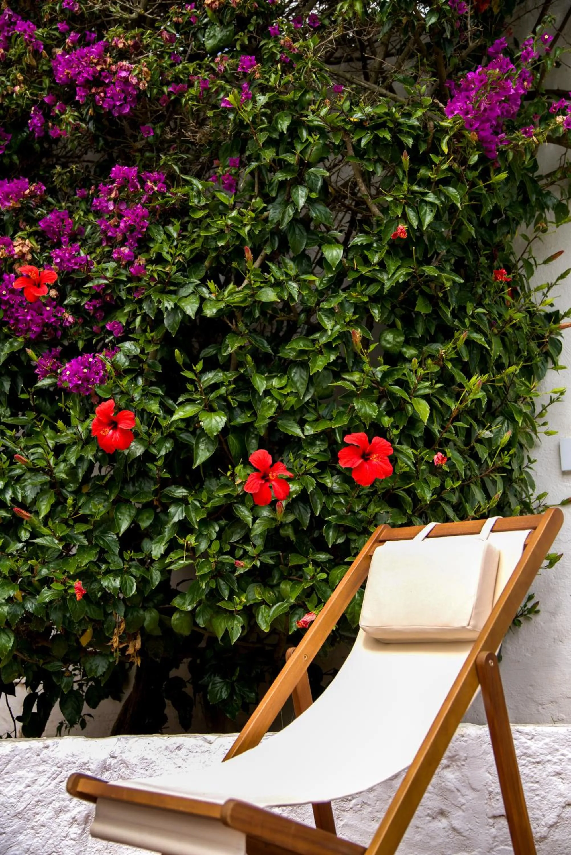 Spring in Agroturismo Binissafullet Vell