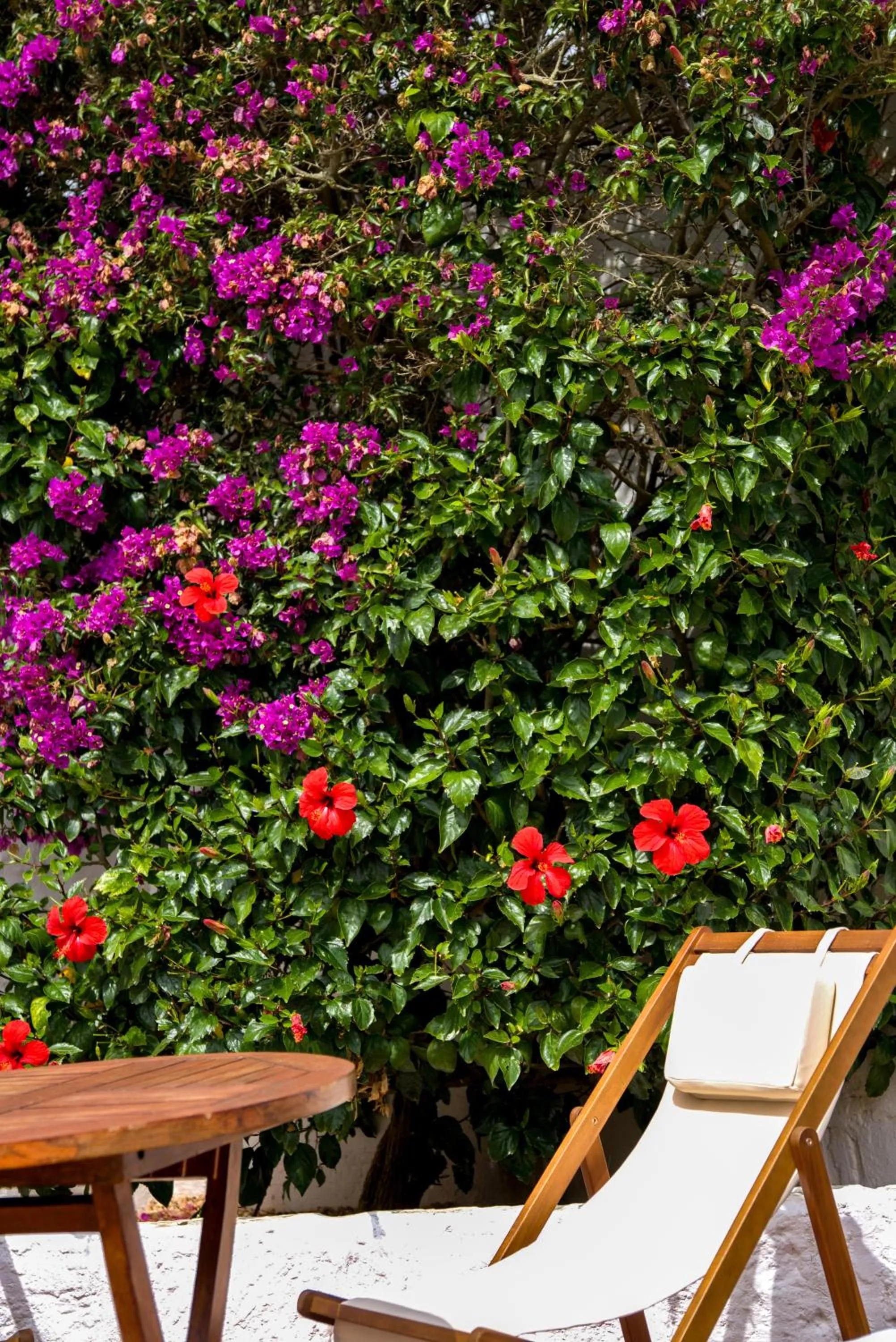 Garden view in Agroturismo Binissafullet Vell