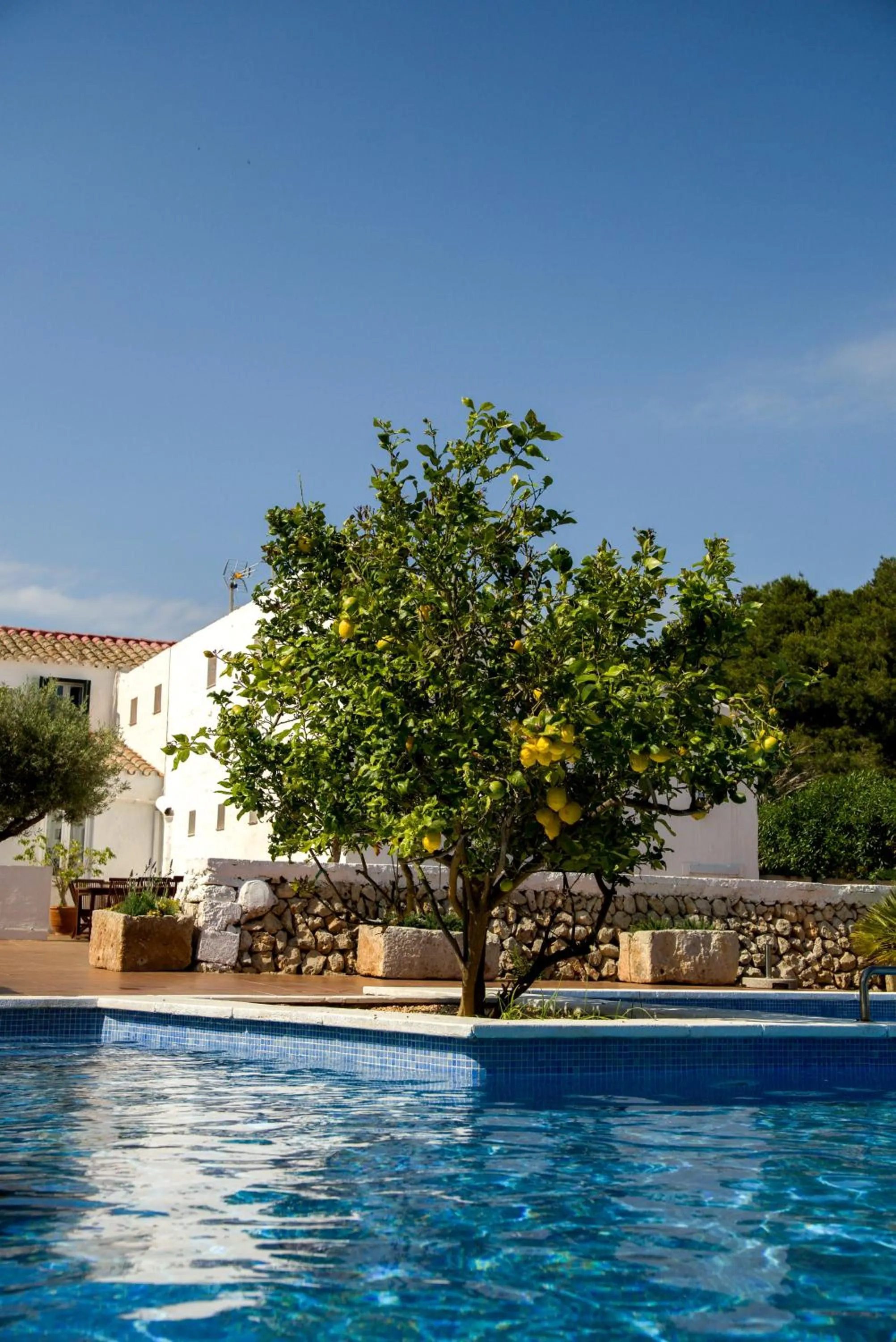 Pool view in Agroturismo Binissafullet Vell