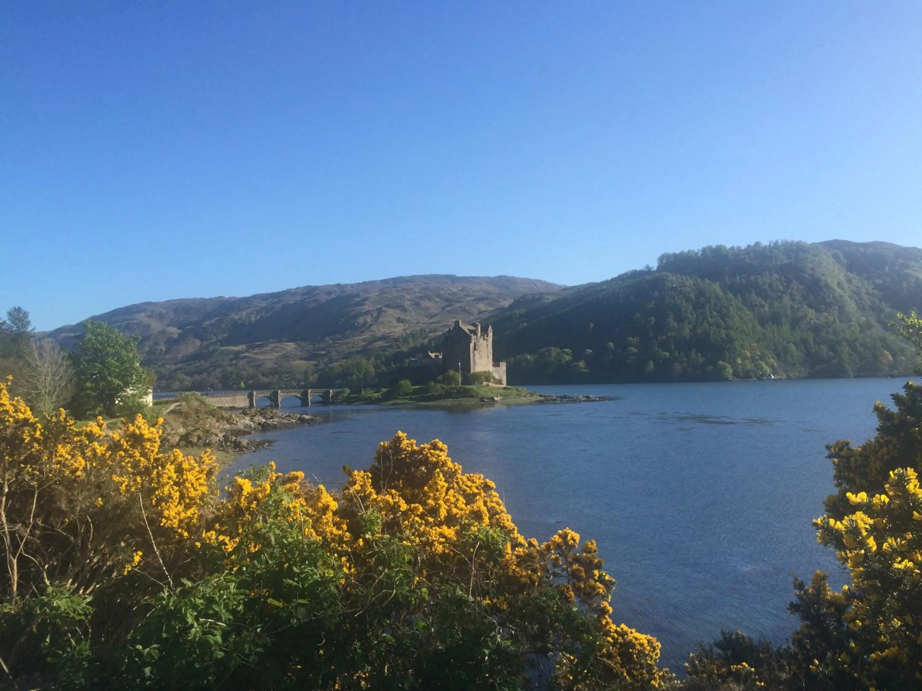 View (from property/room) in Hillside