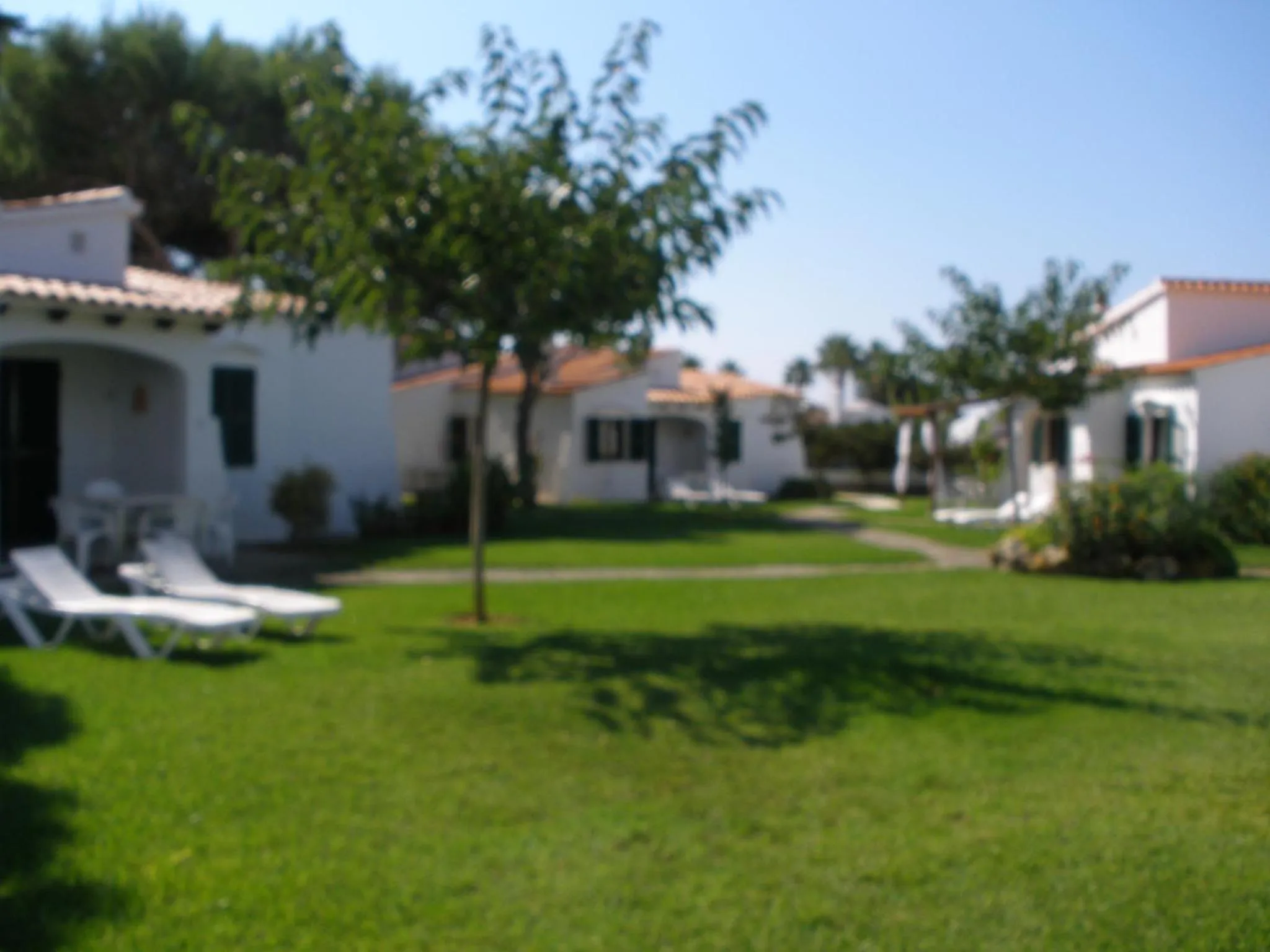 Garden in Nure Cel Blau