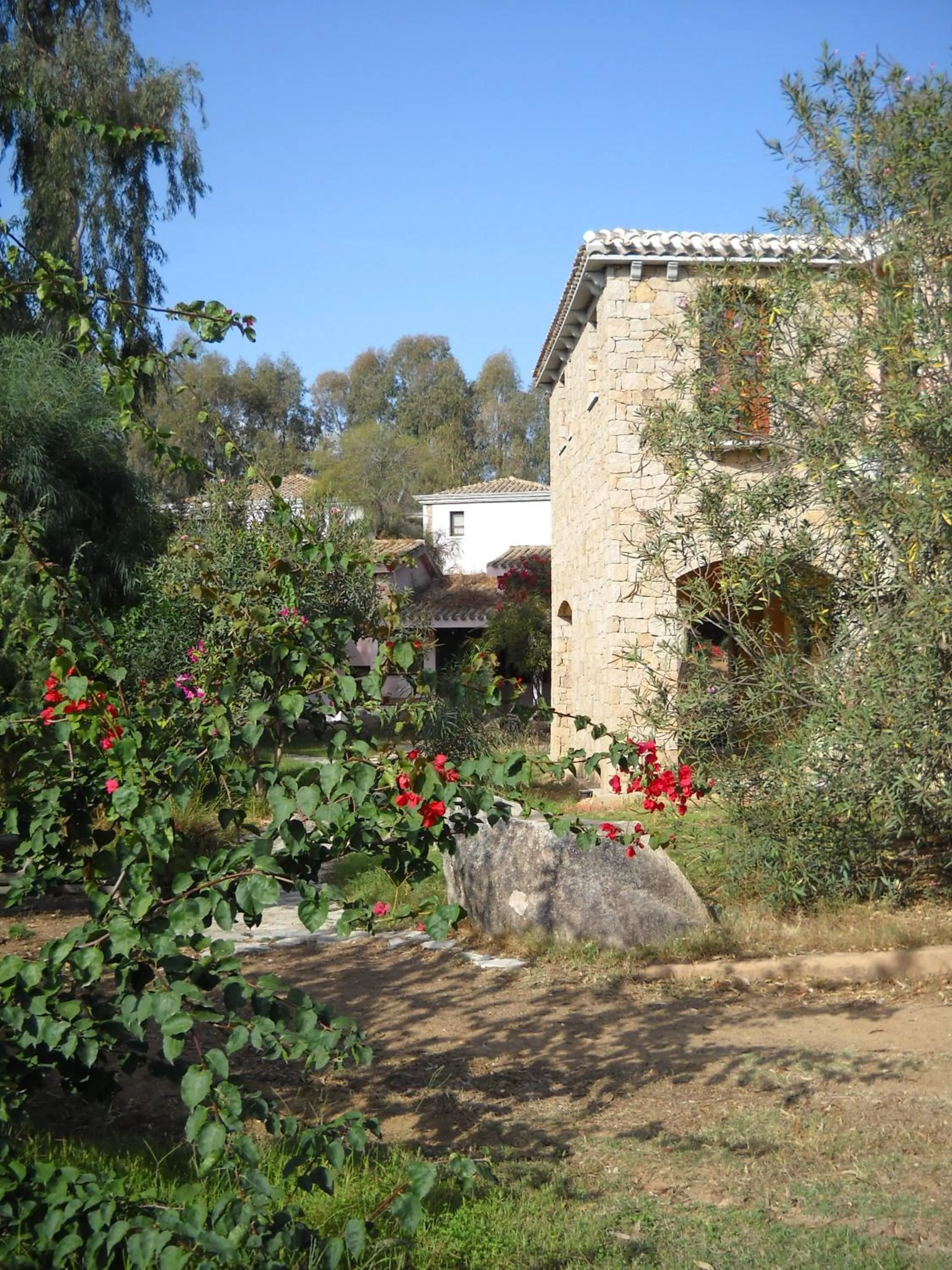 Garden in Principessa de Navarra