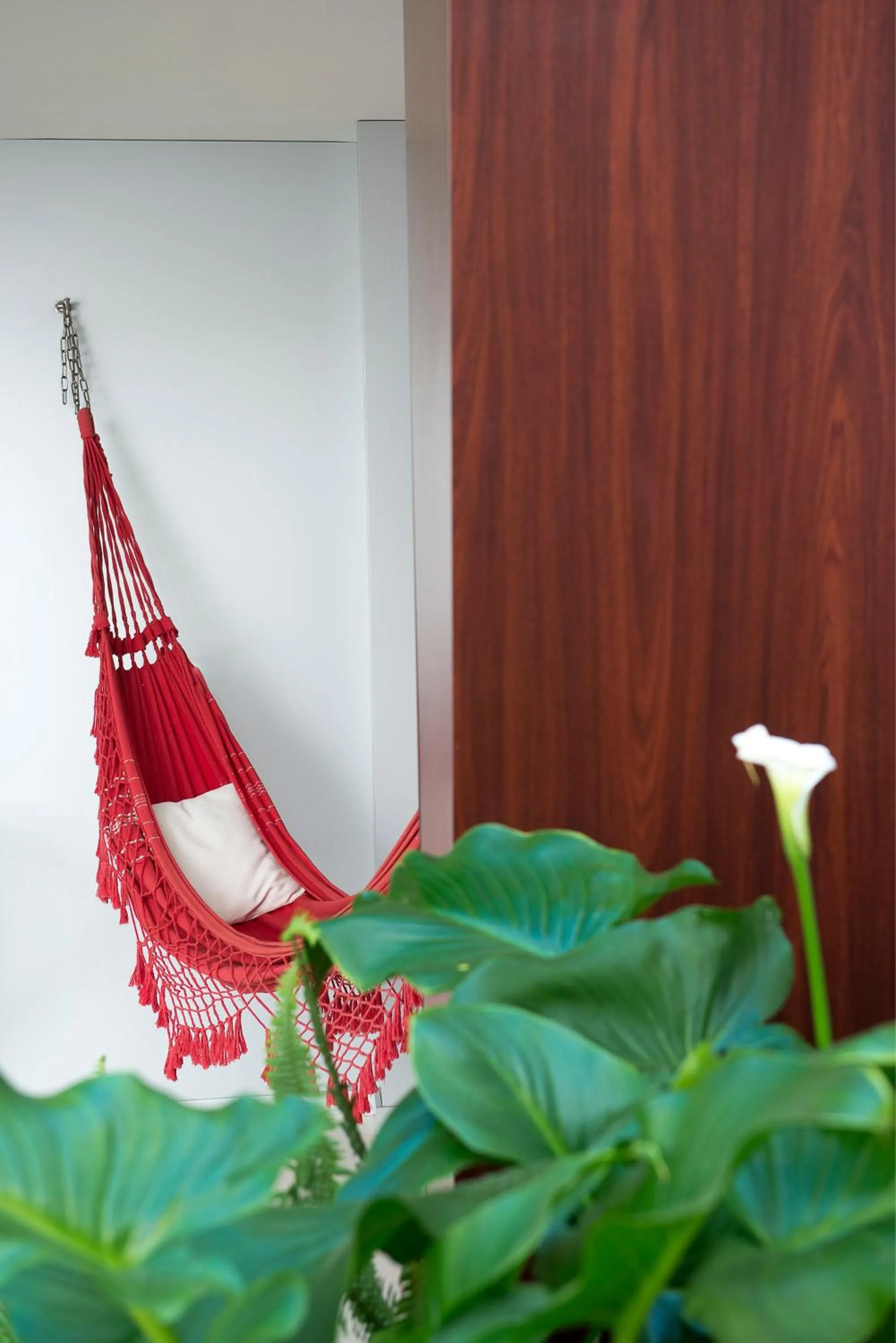 Garden in La Alcoba del Agua Hotel Boutique