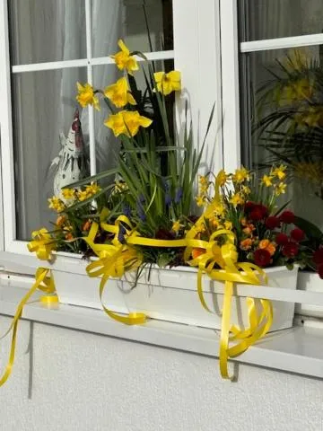 Garden view in Hotel Waldperle
