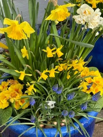 Garden view in Hotel Waldperle