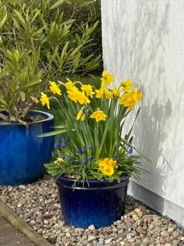 Garden view in Hotel Waldperle