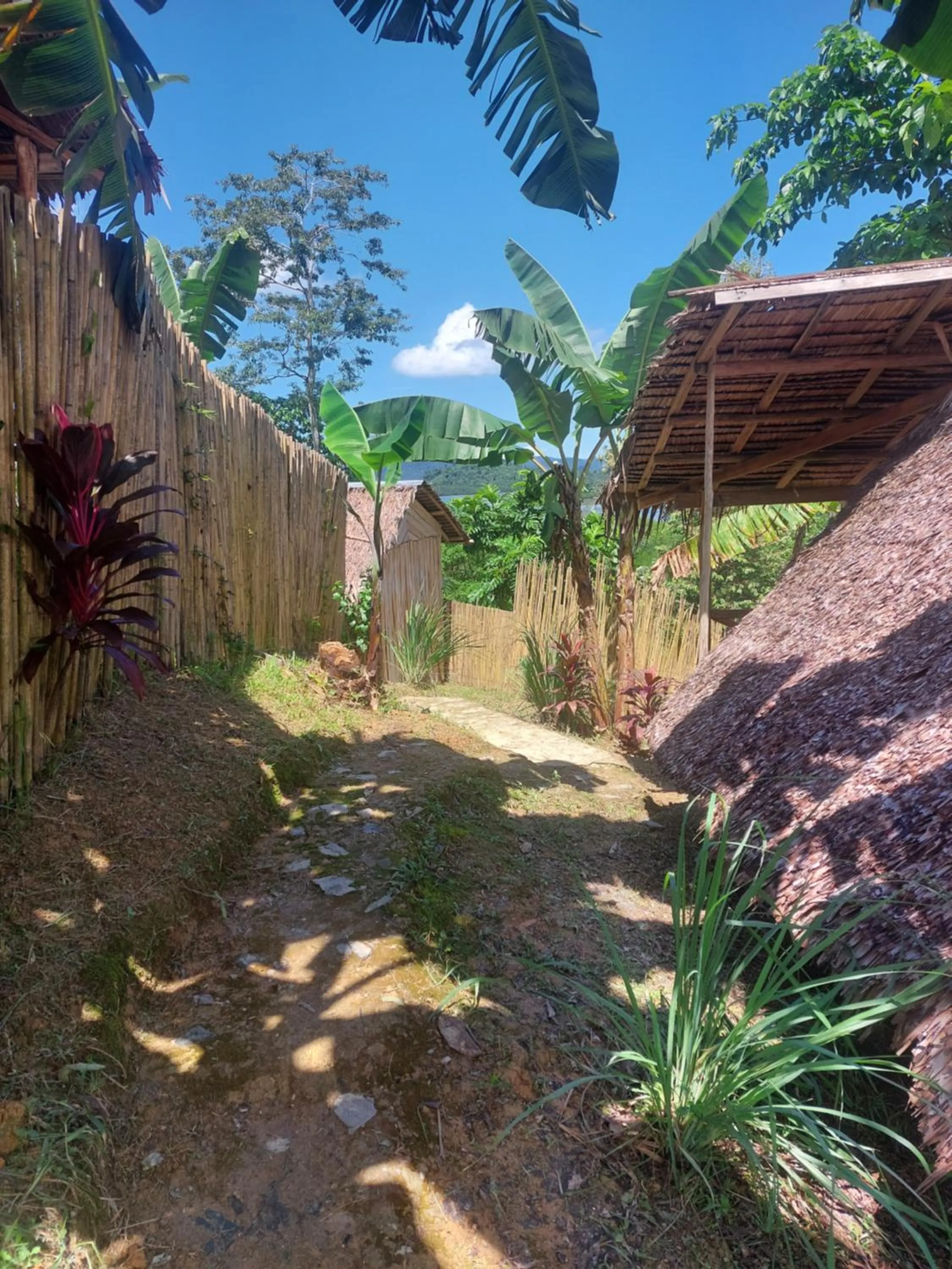 Double Room with Balcony in Jungle Bar Honeymoon suite & private pool