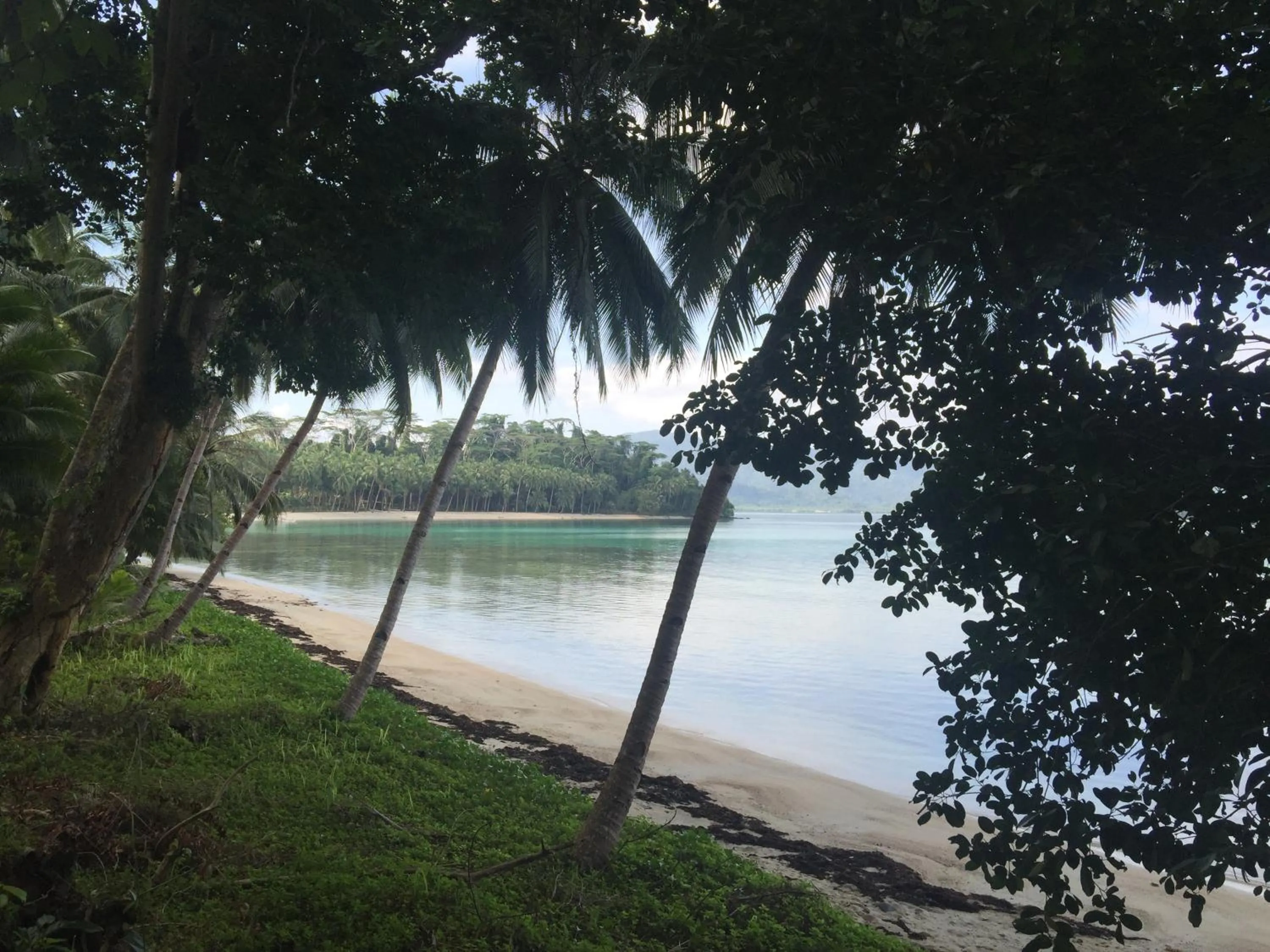 Activities in Jungle Bar Honeymoon suite & private pool