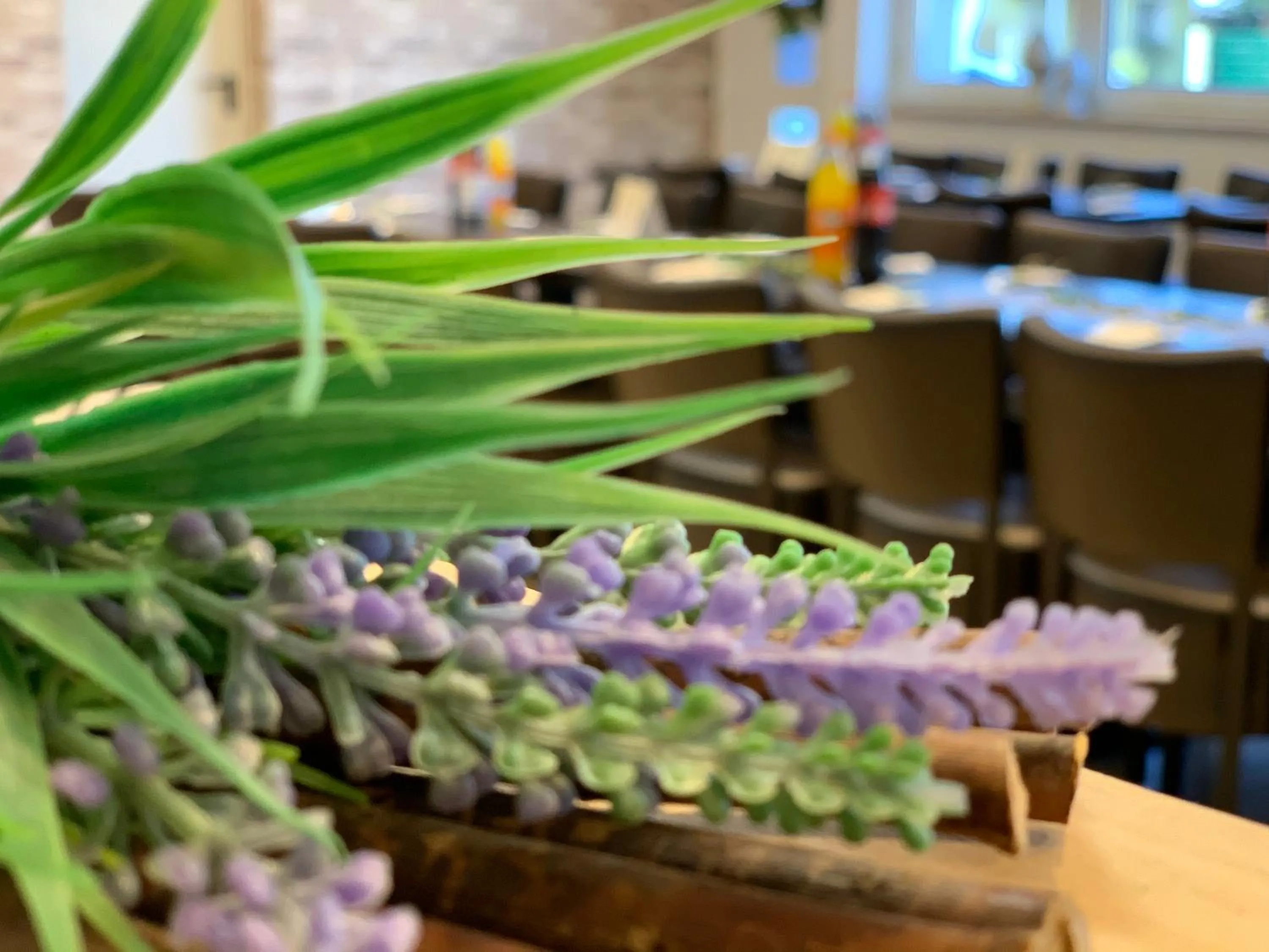 Food and drinks in Apart-Hotel Rheinischer Hof Dormagen