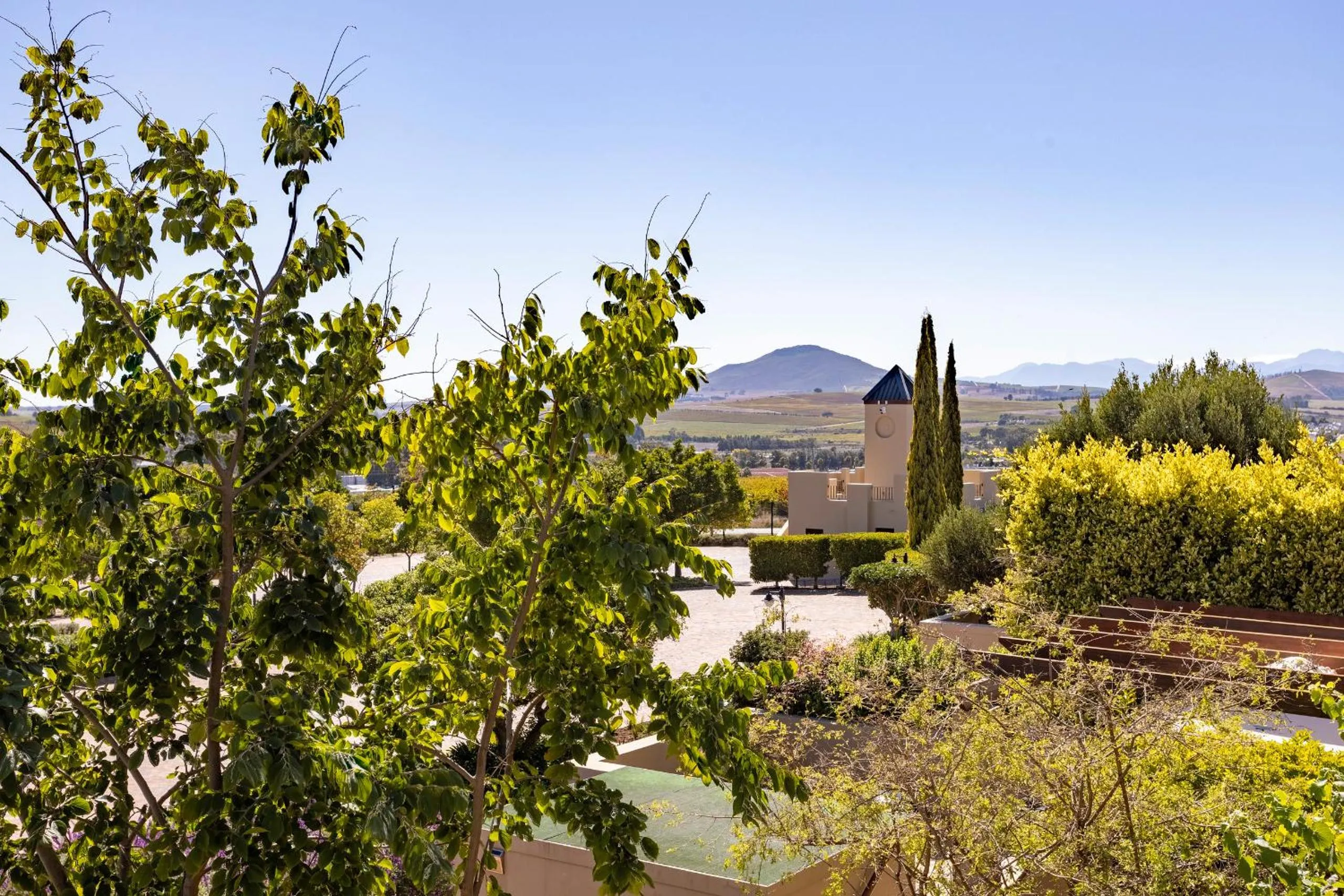 View (from property/room) in Devonvale Golf & Wine Estate