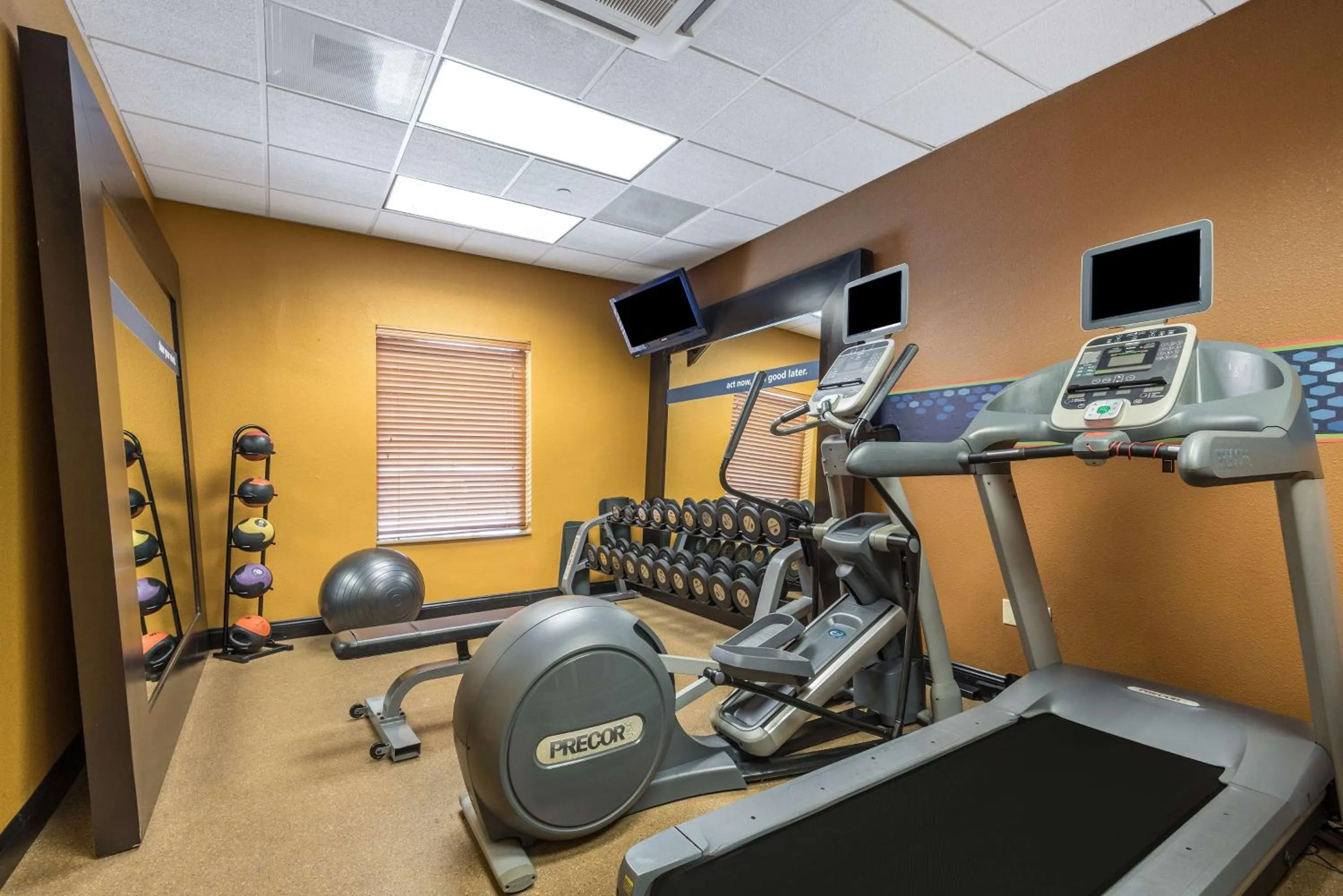 Fitness centre/facilities in Hampton Inn & Suites Orlando-South Lake Buena Vista