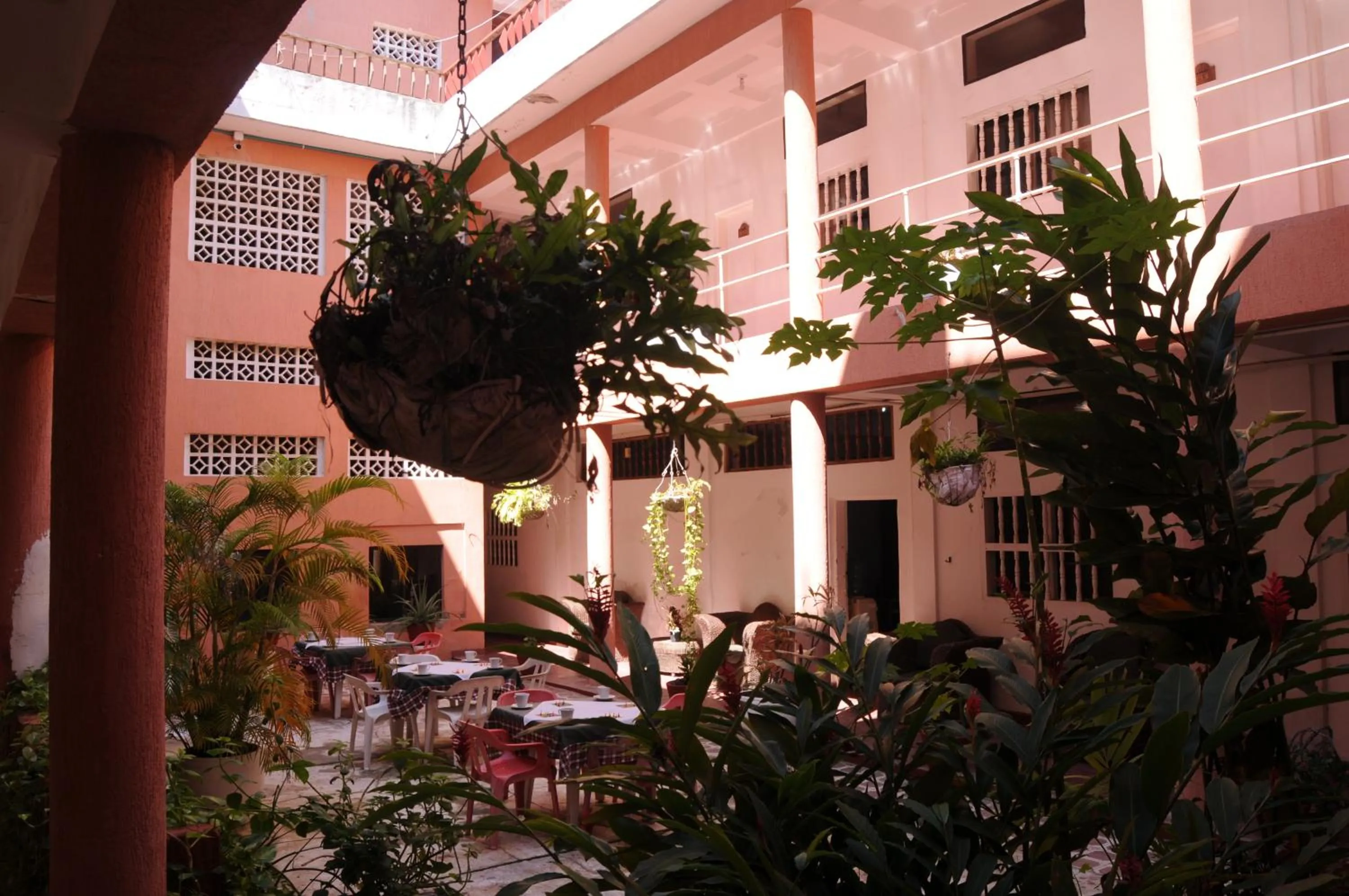 Garden in Hotel Montecarlo Beach