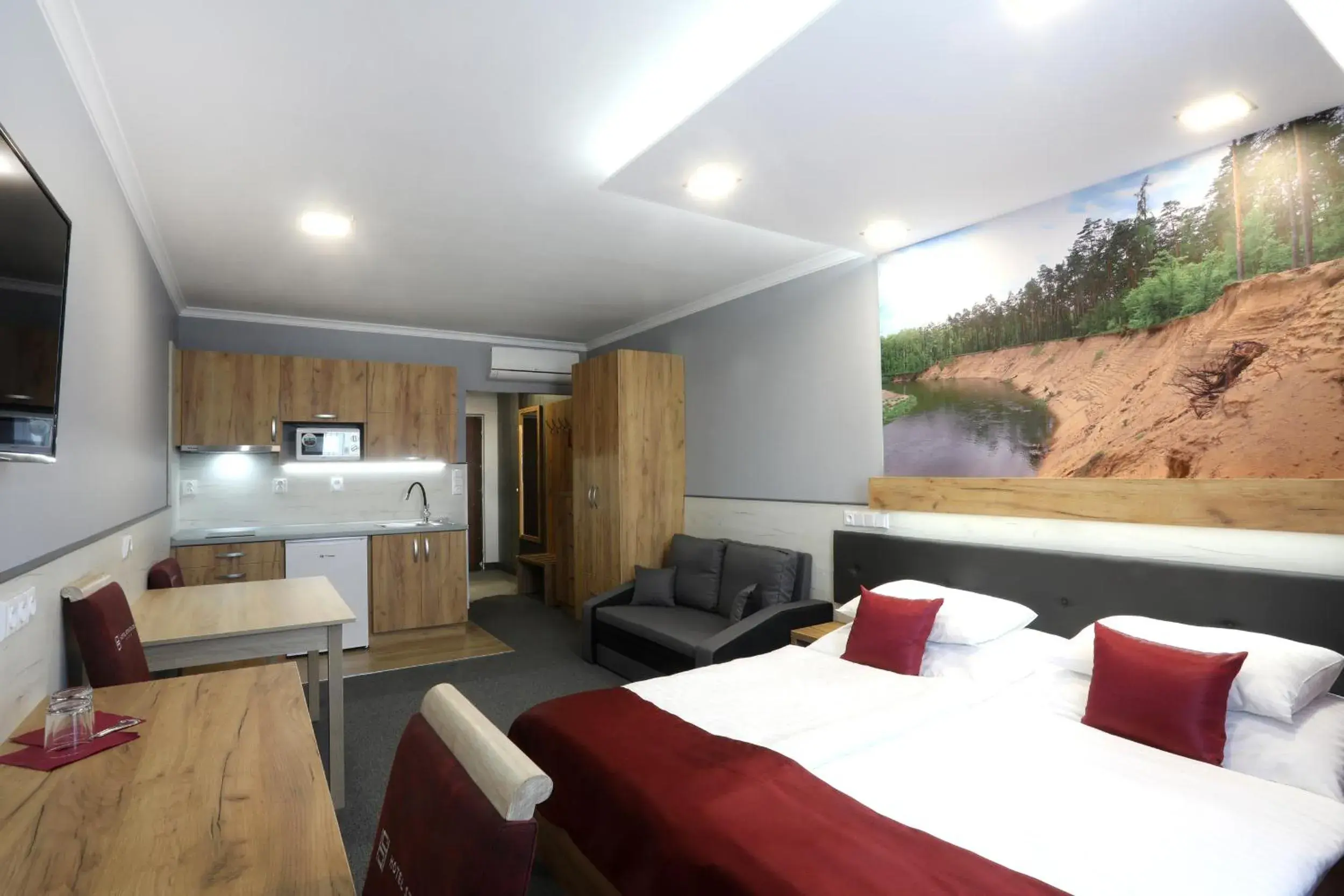 Deluxe Studio - single occupancy in Hotel Strážnice Deluxe Studio - single occupancy in Hotel Strážnice