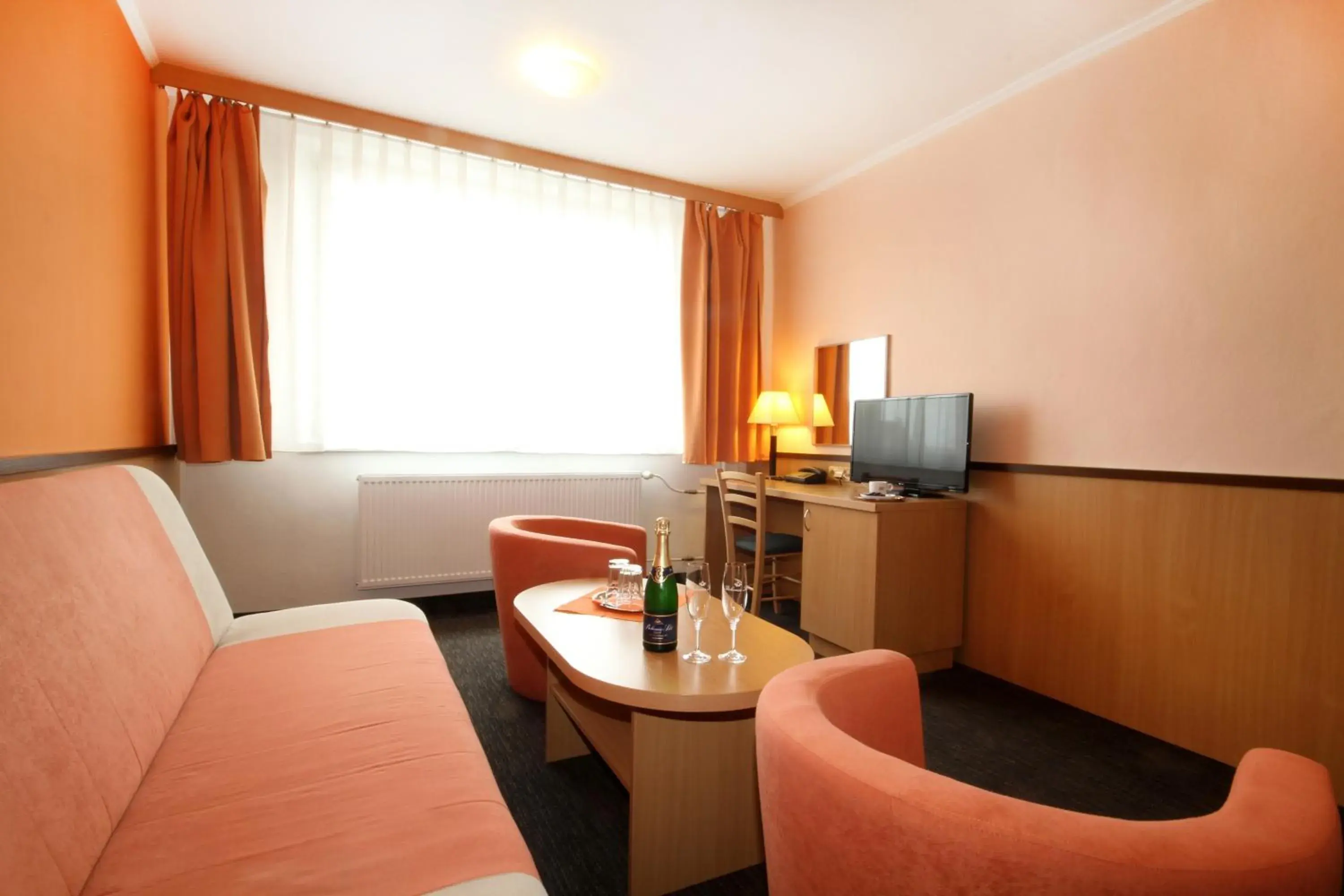 Suite - single occupancy in Hotel Strážnice Suite - single occupancy in Hotel Strážnice