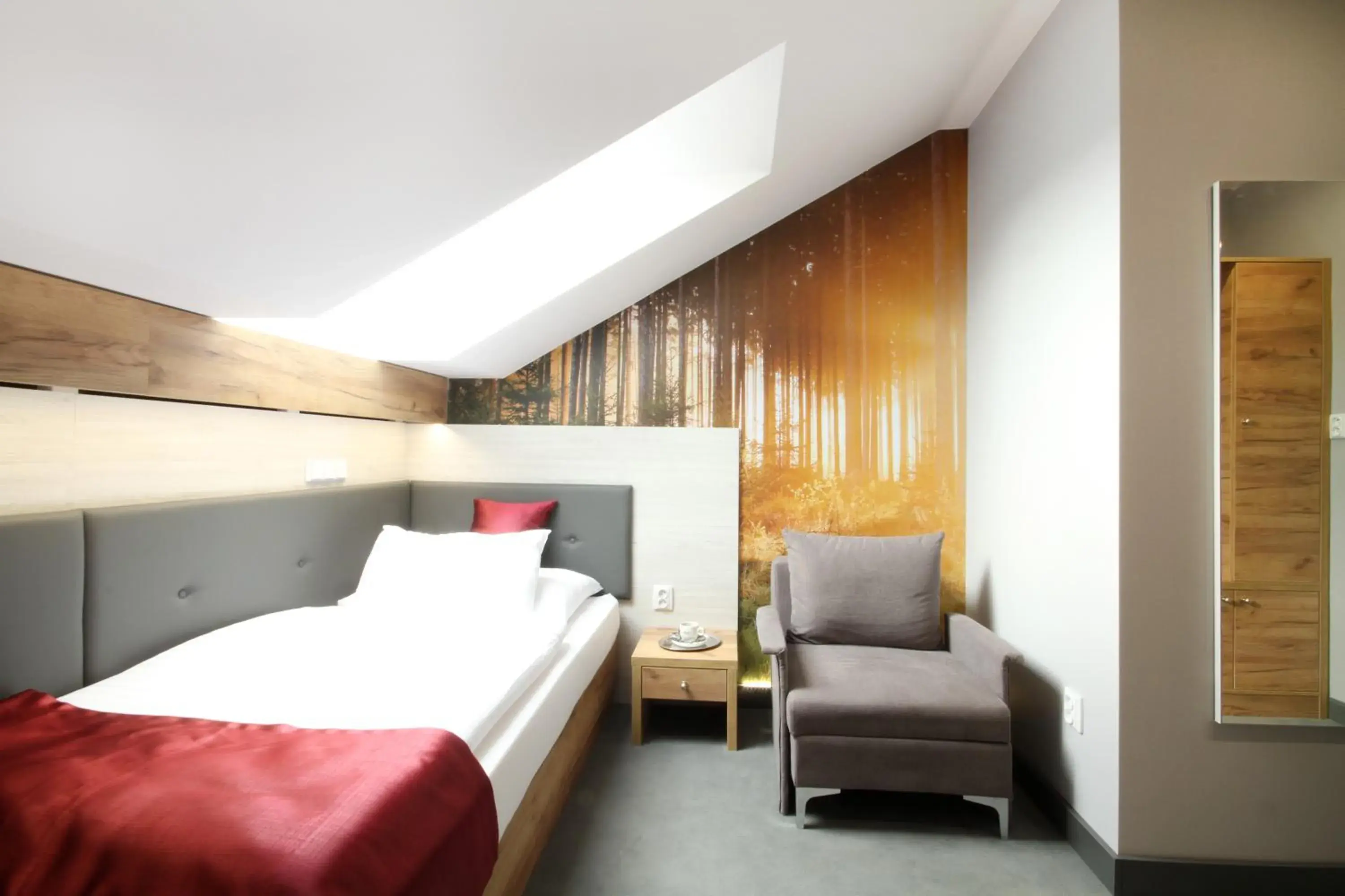 Deluxe Single Room - single occupancy in Hotel Strážnice Deluxe Single Room - single occupancy in Hotel Strážnice