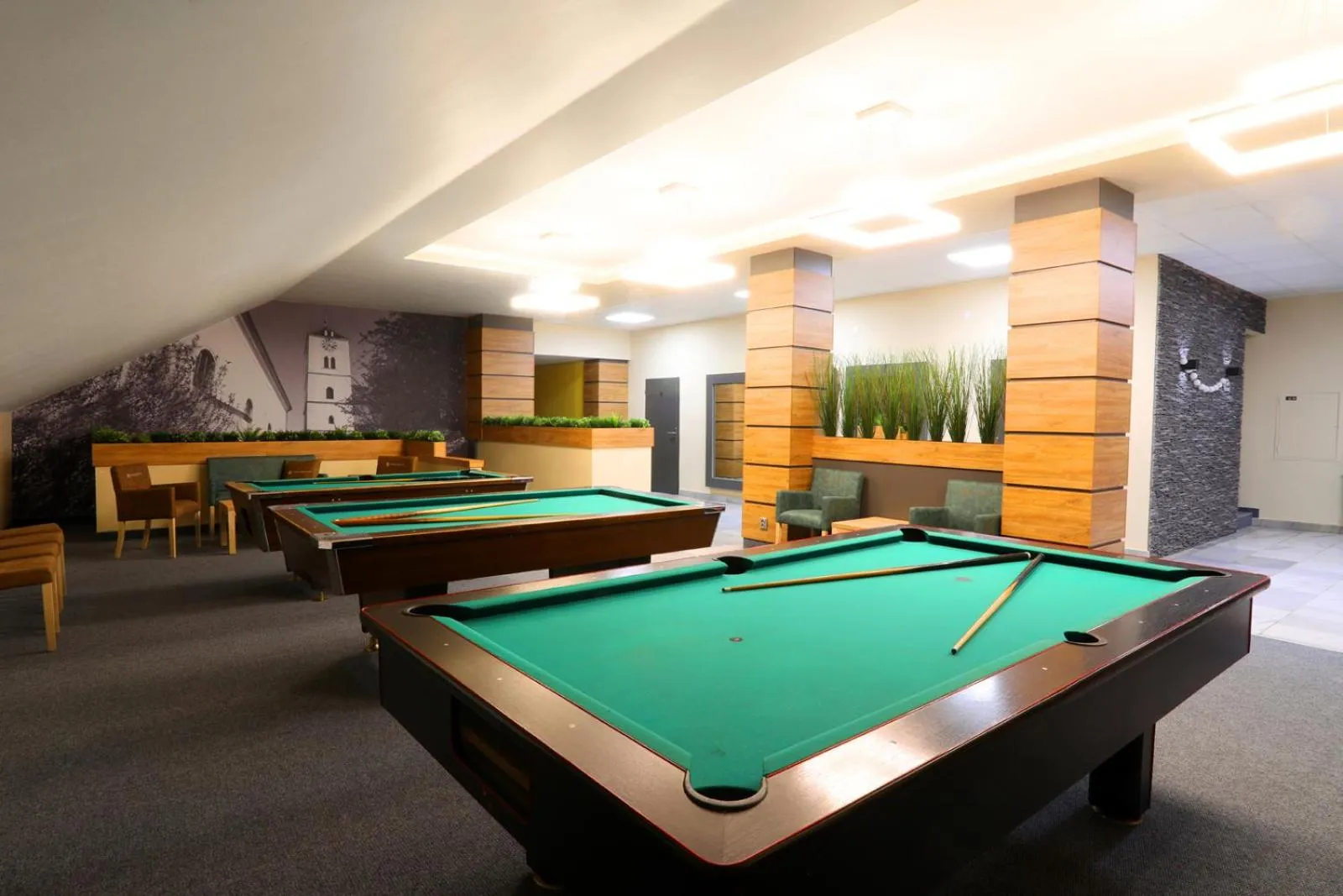 Game Room in Hotel Strážnice