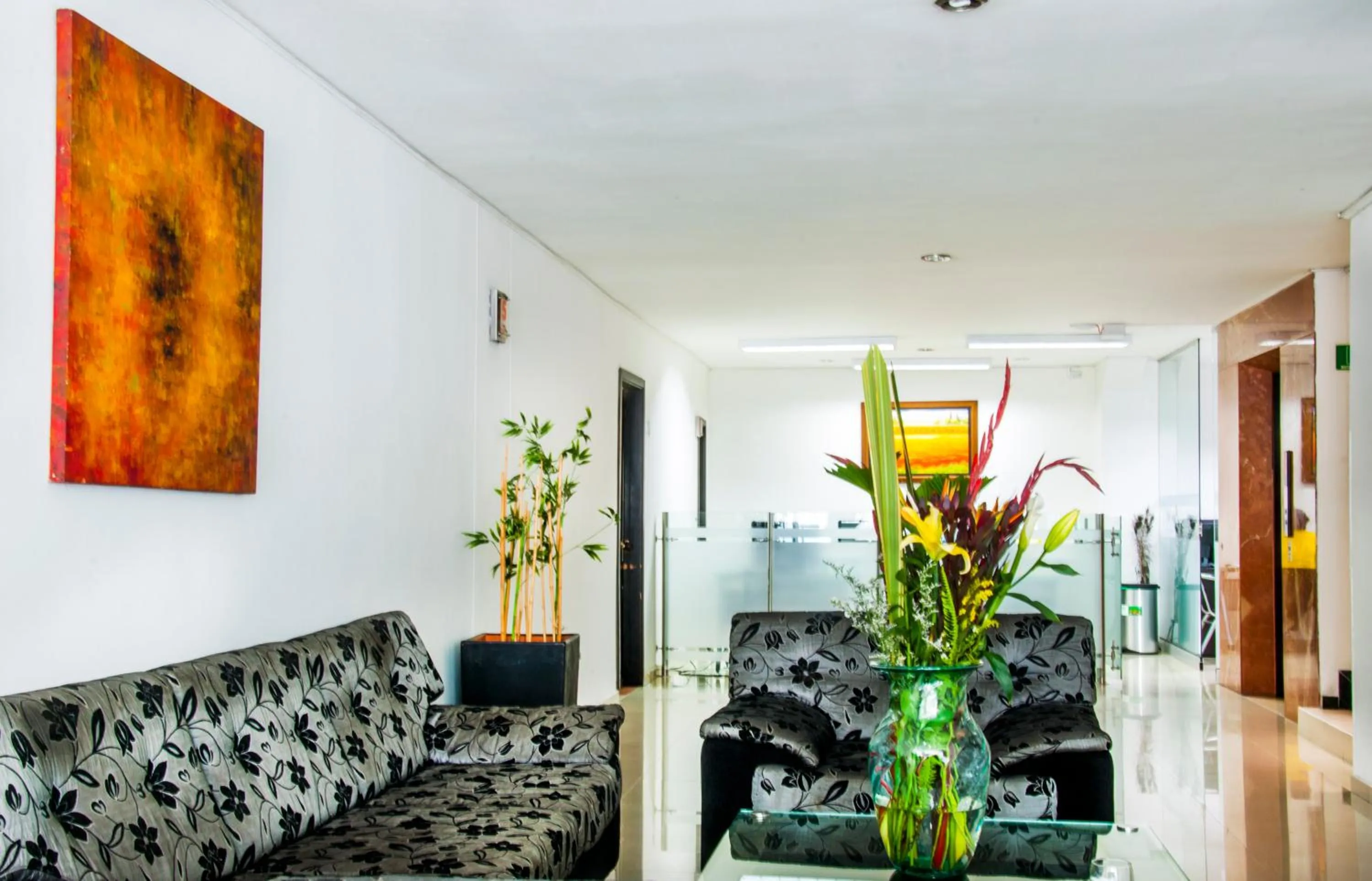 Area and facilities in Hotel San José Plaza