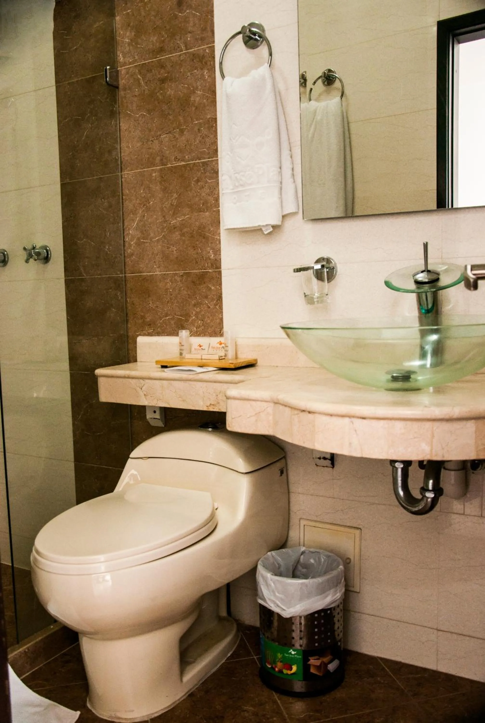 Other in Hotel San José Plaza