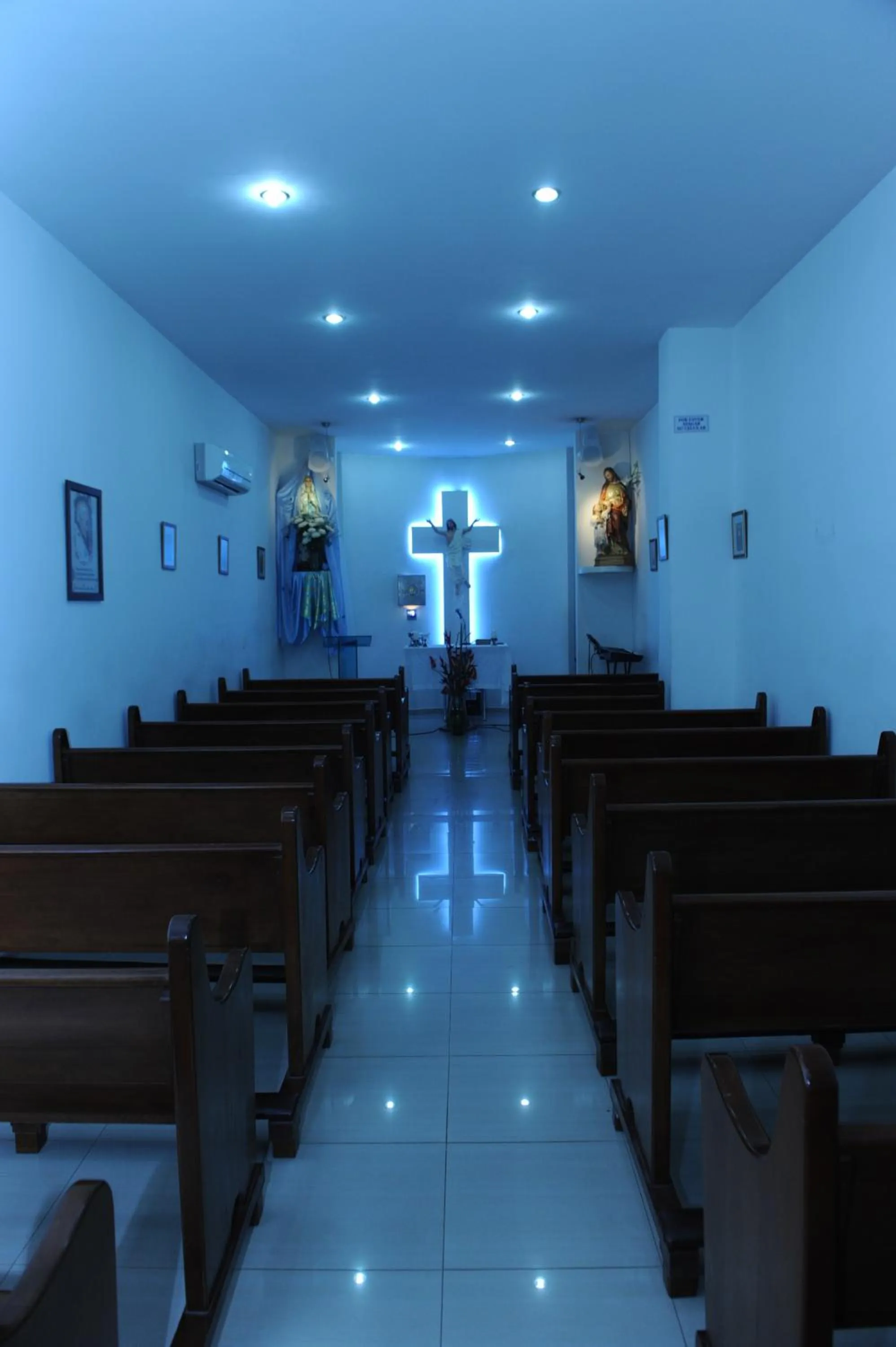 Activities in Hotel San José Plaza