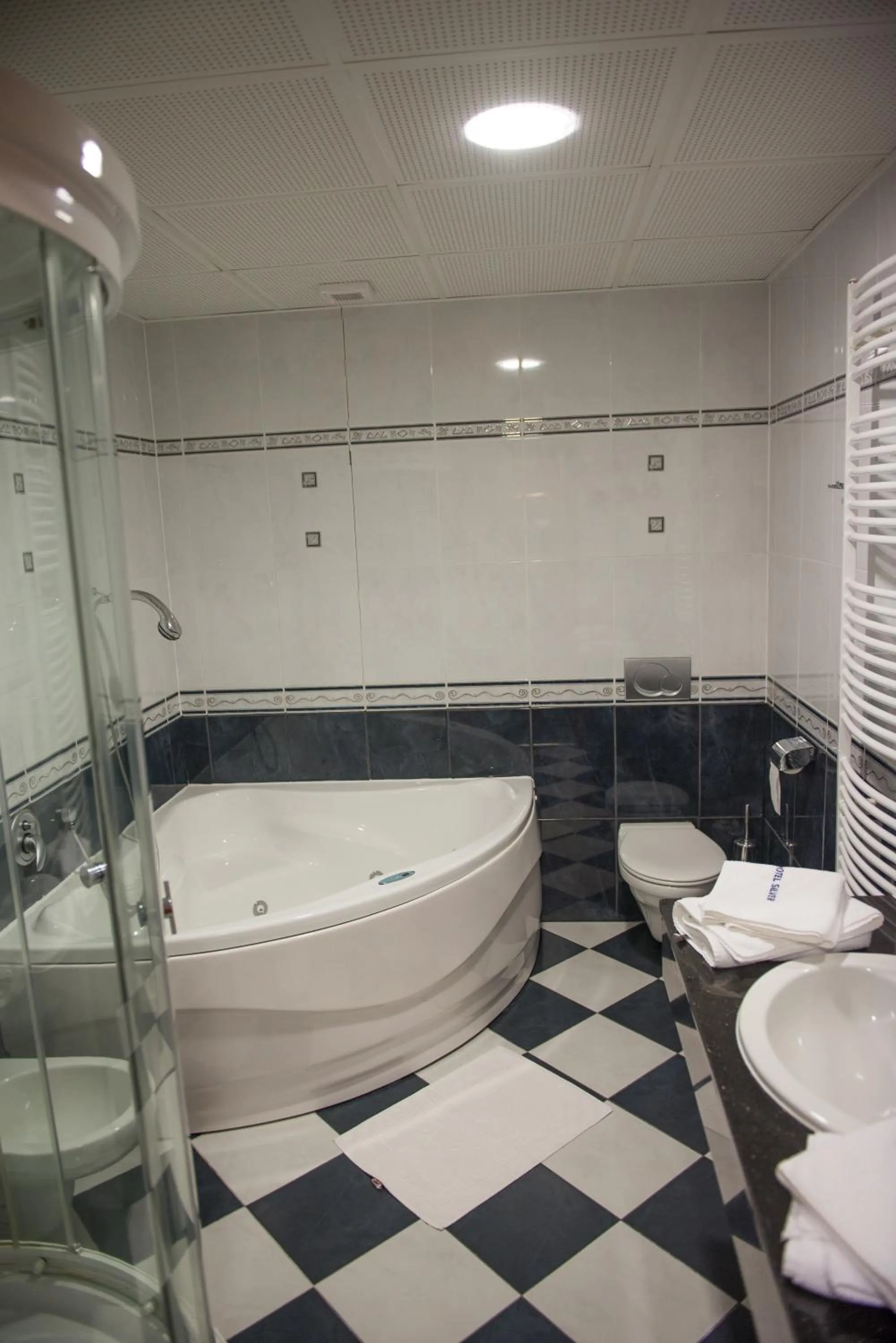 Bathroom in Hotel Silver