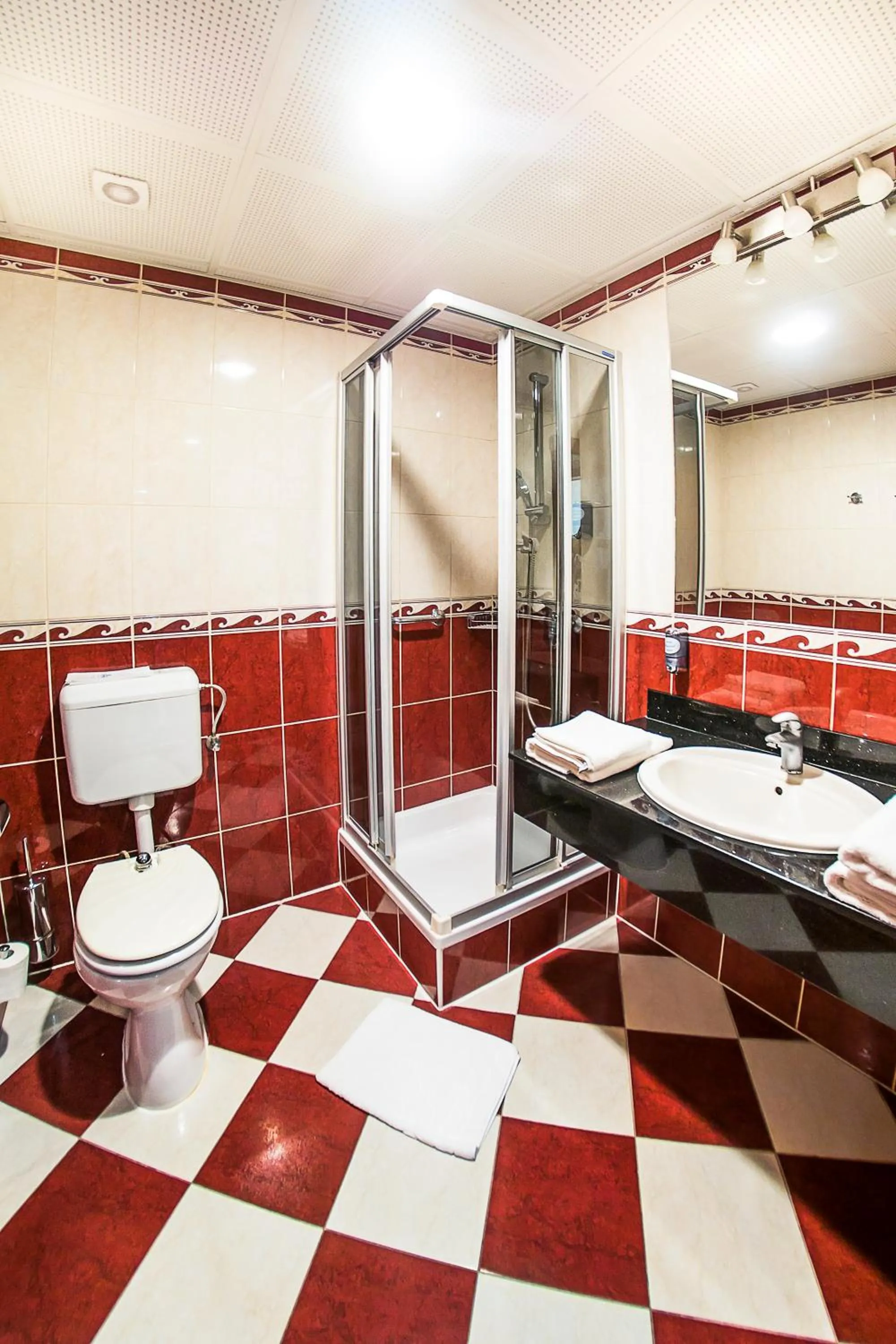 Bathroom in Hotel Silver