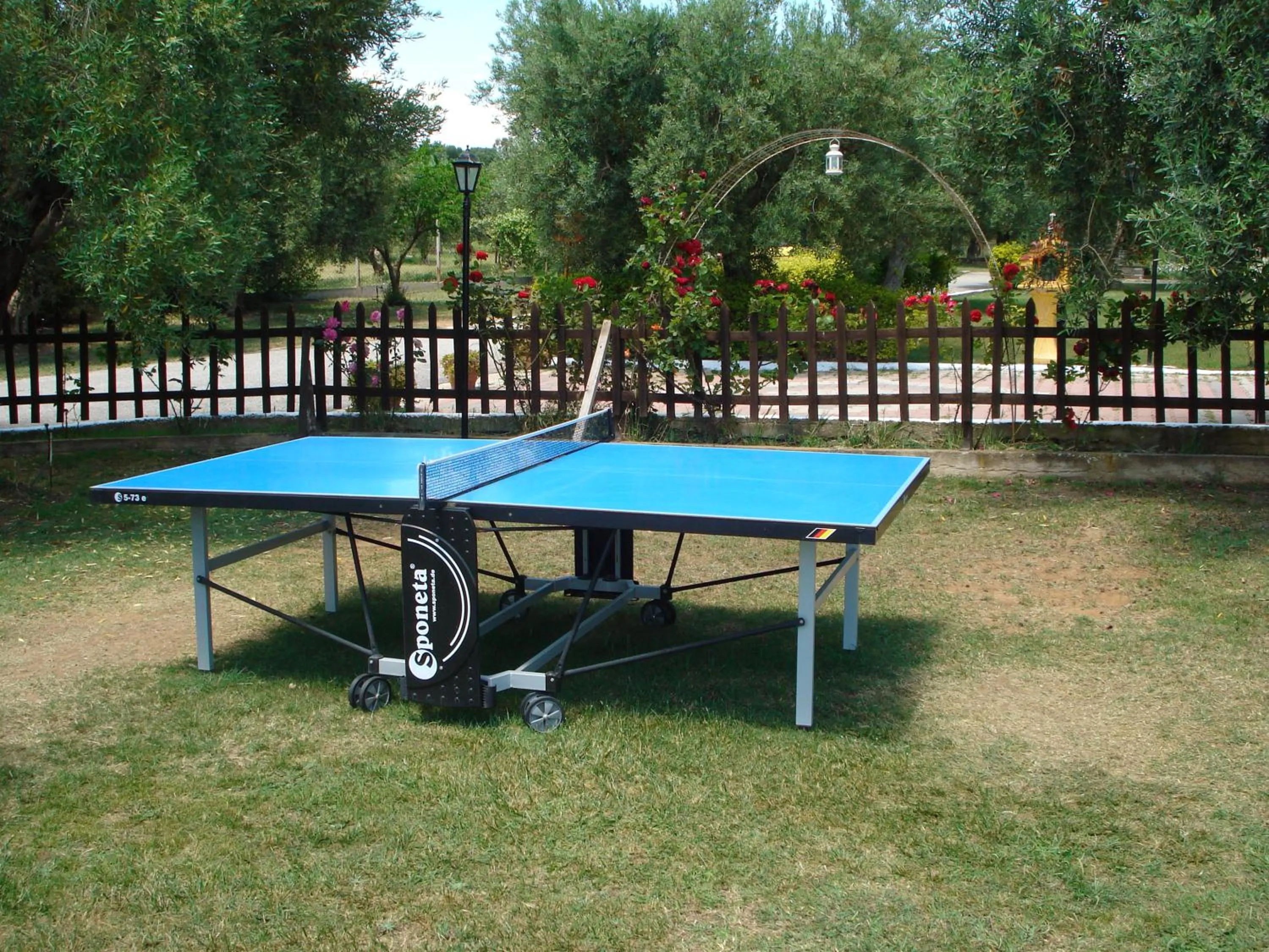 Table tennis in Asteris Village