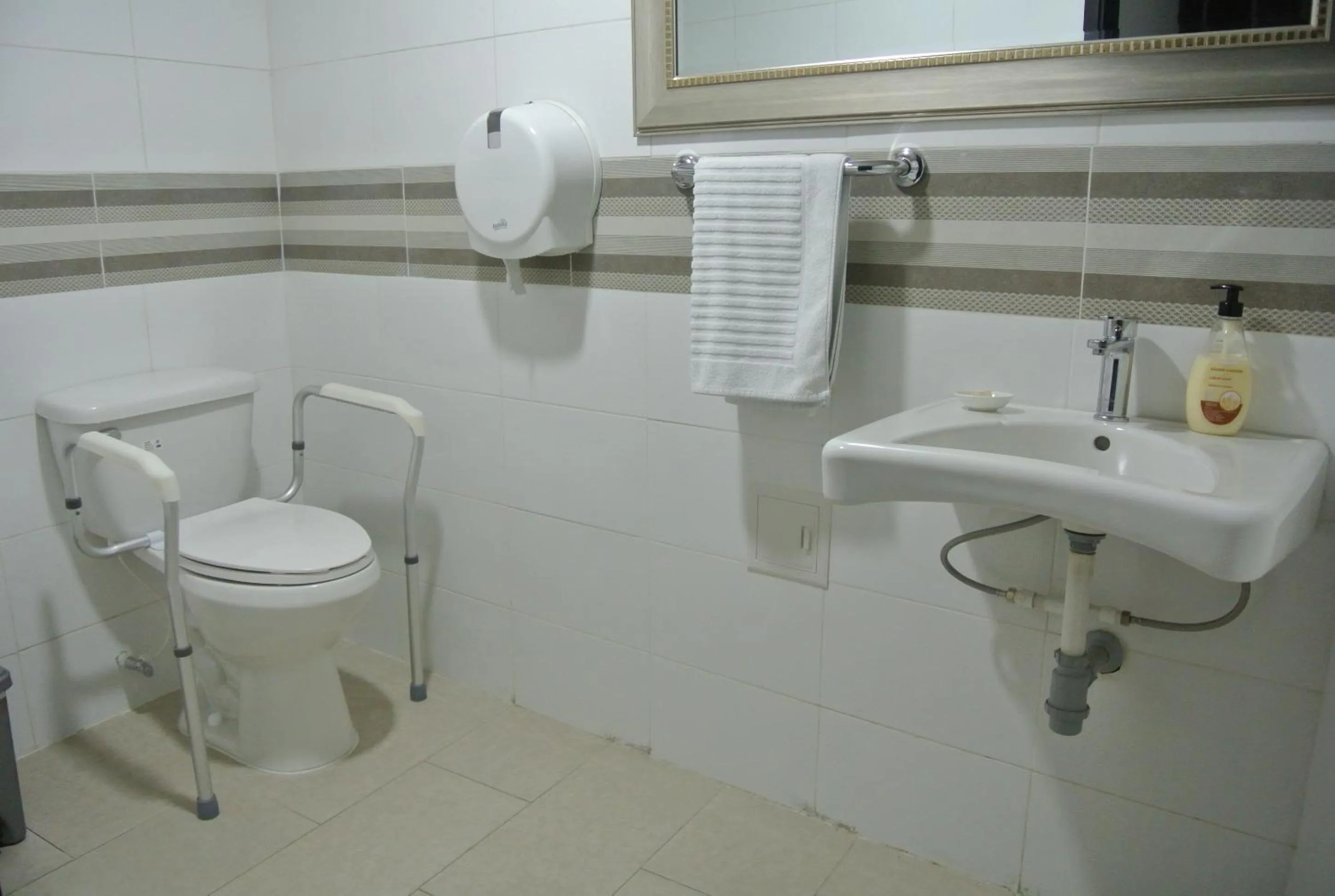 Area and facilities in Hotel San Martin