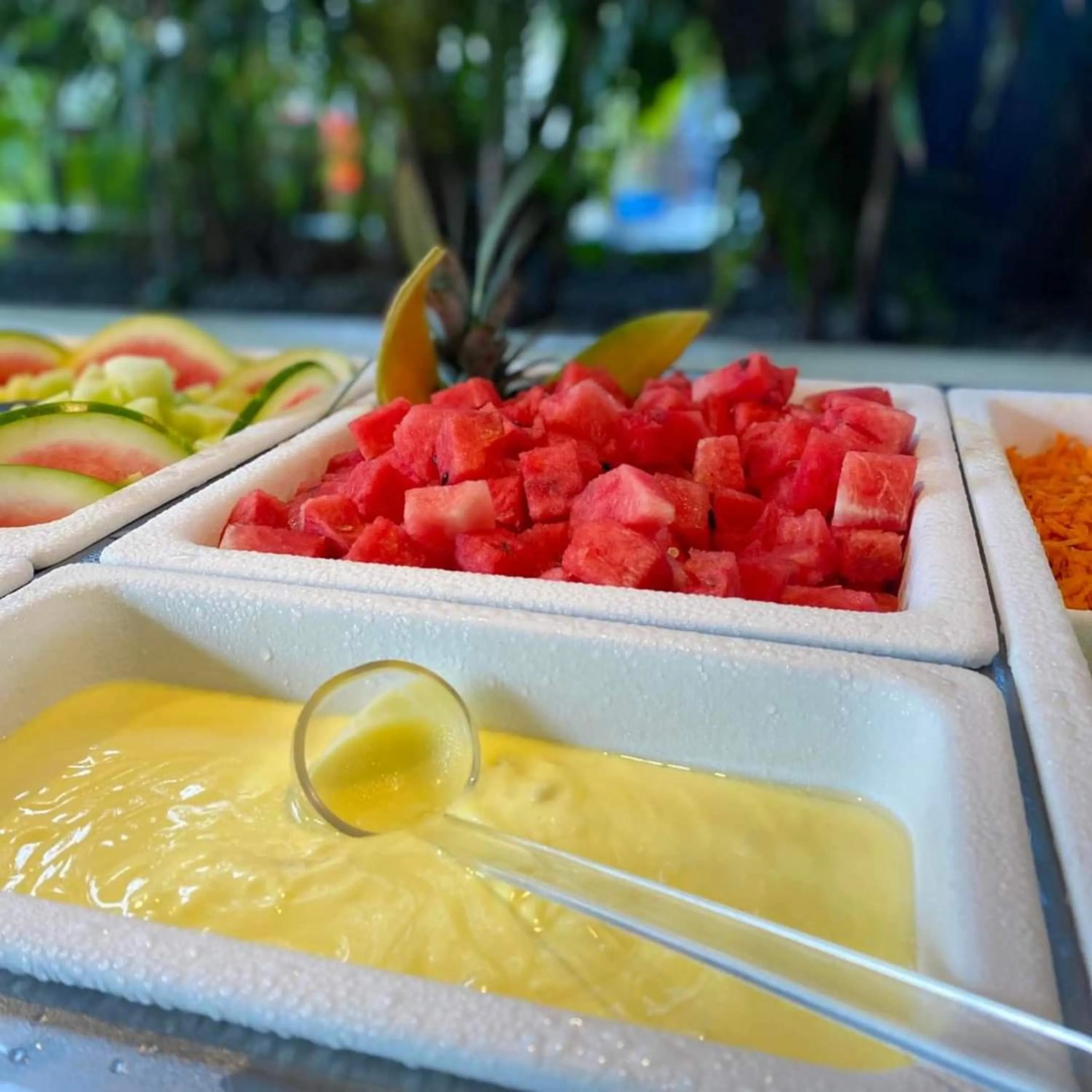 Buffet breakfast in Fontan Ixtapa