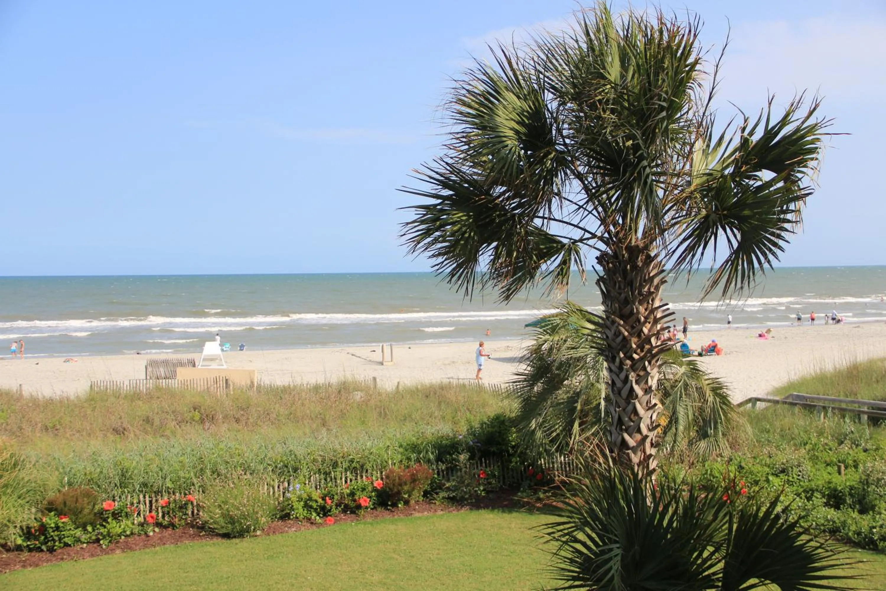 Area and facilities in Jade Tree Cove