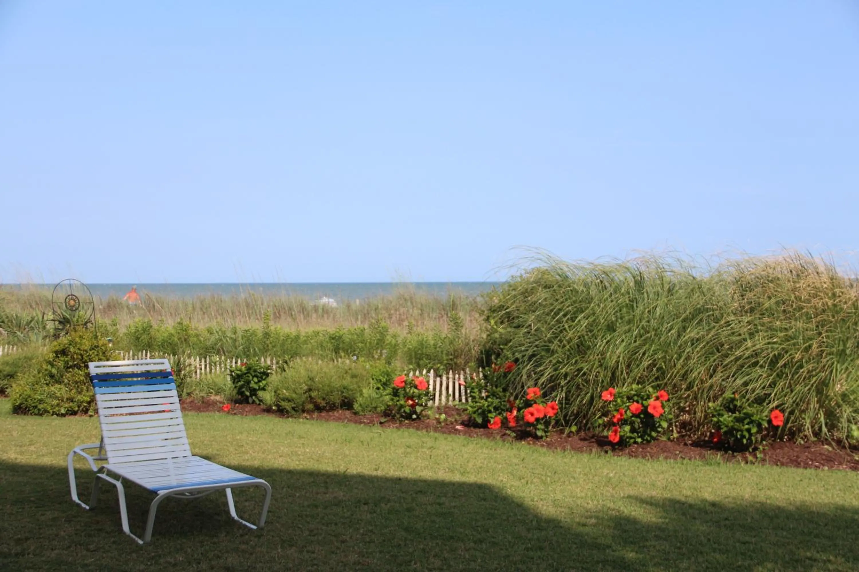 Area and facilities in Jade Tree Cove