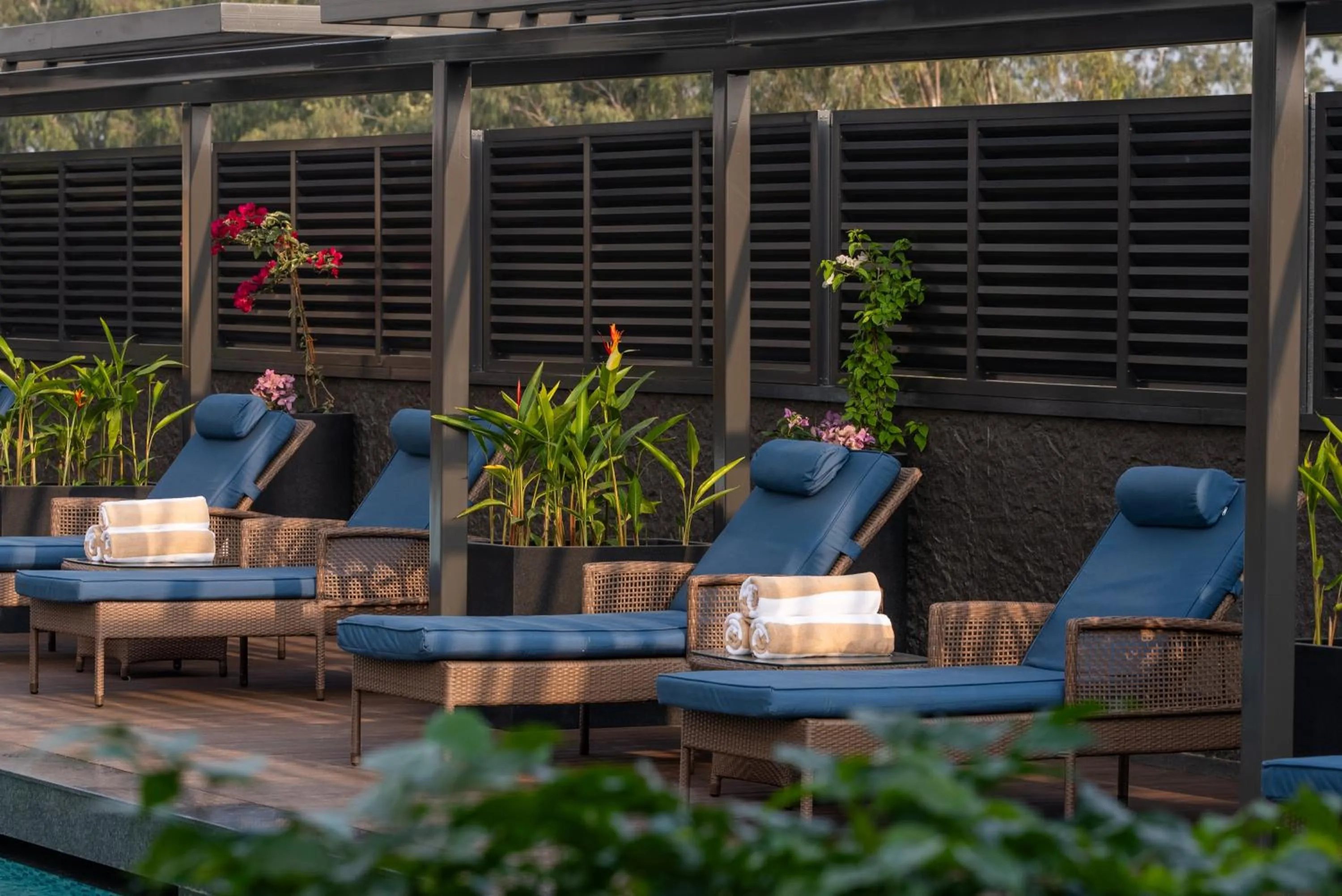 Swimming pool in Hyatt Centric MG Road Bangalore