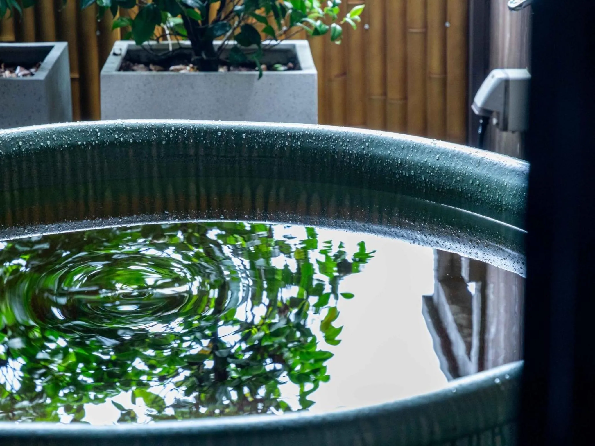 Hot Spring Bath in Sasara