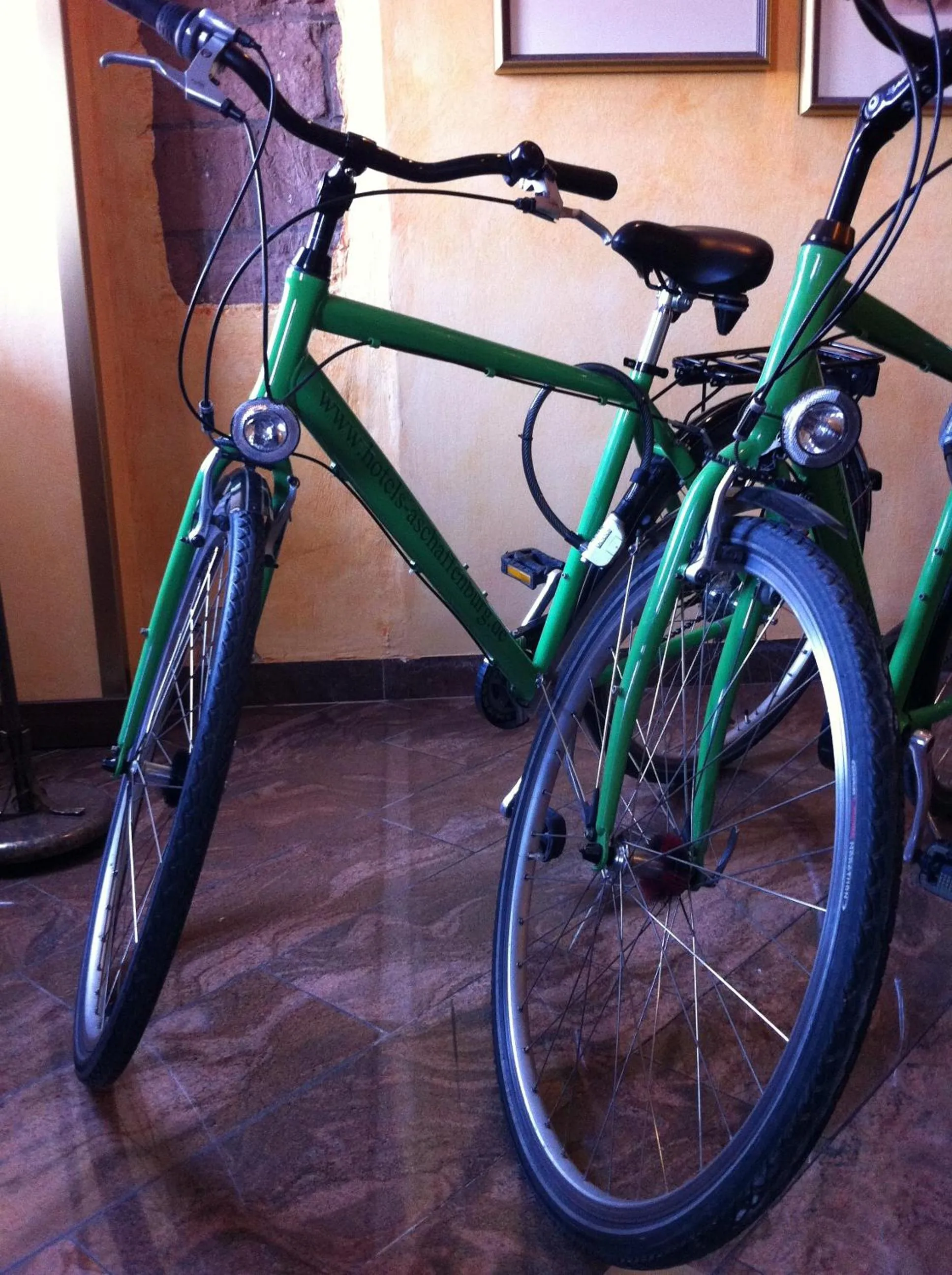 Cycling in Hotel Gerber