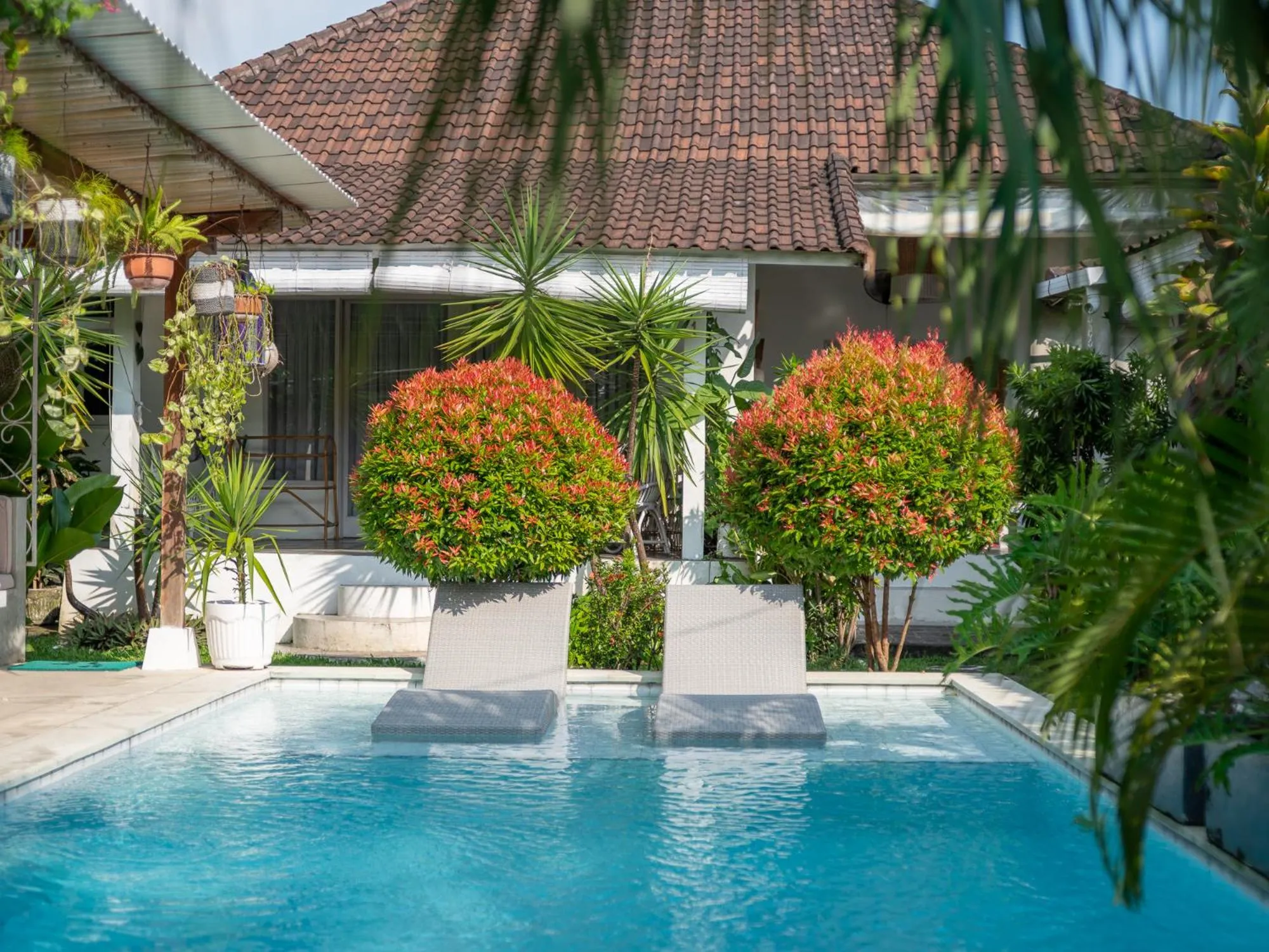 Pool view in Lila Boutik Residence