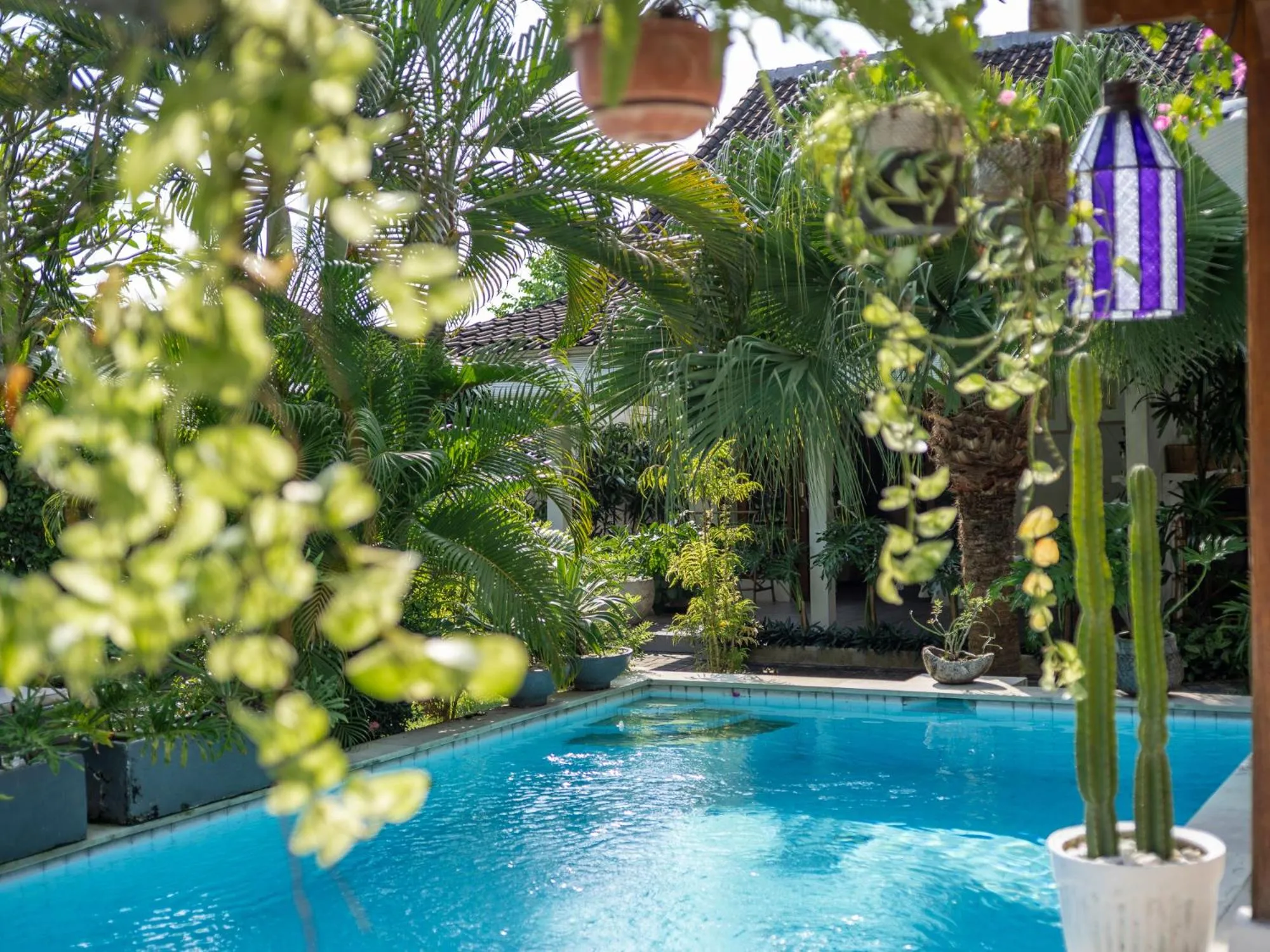 Swimming pool in Lila Boutik Residence