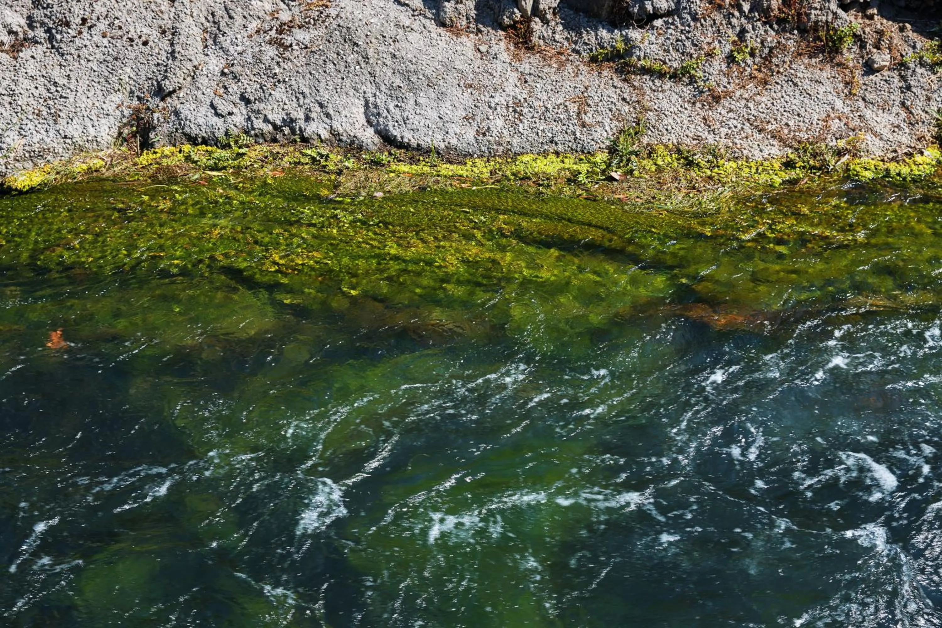 Hotel La Sorgente HS