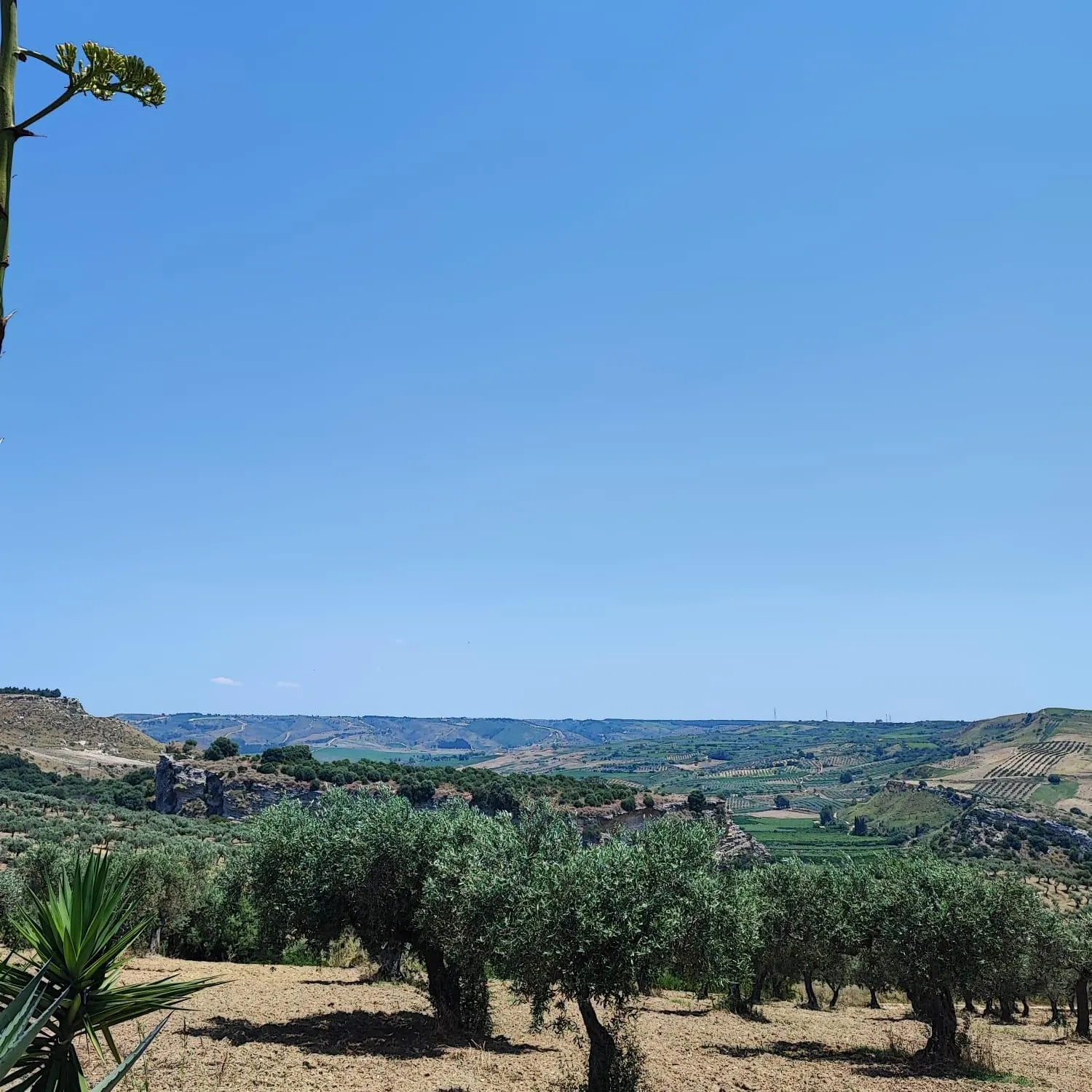 Natural landscape in Agriturismo Baglio Vecchio