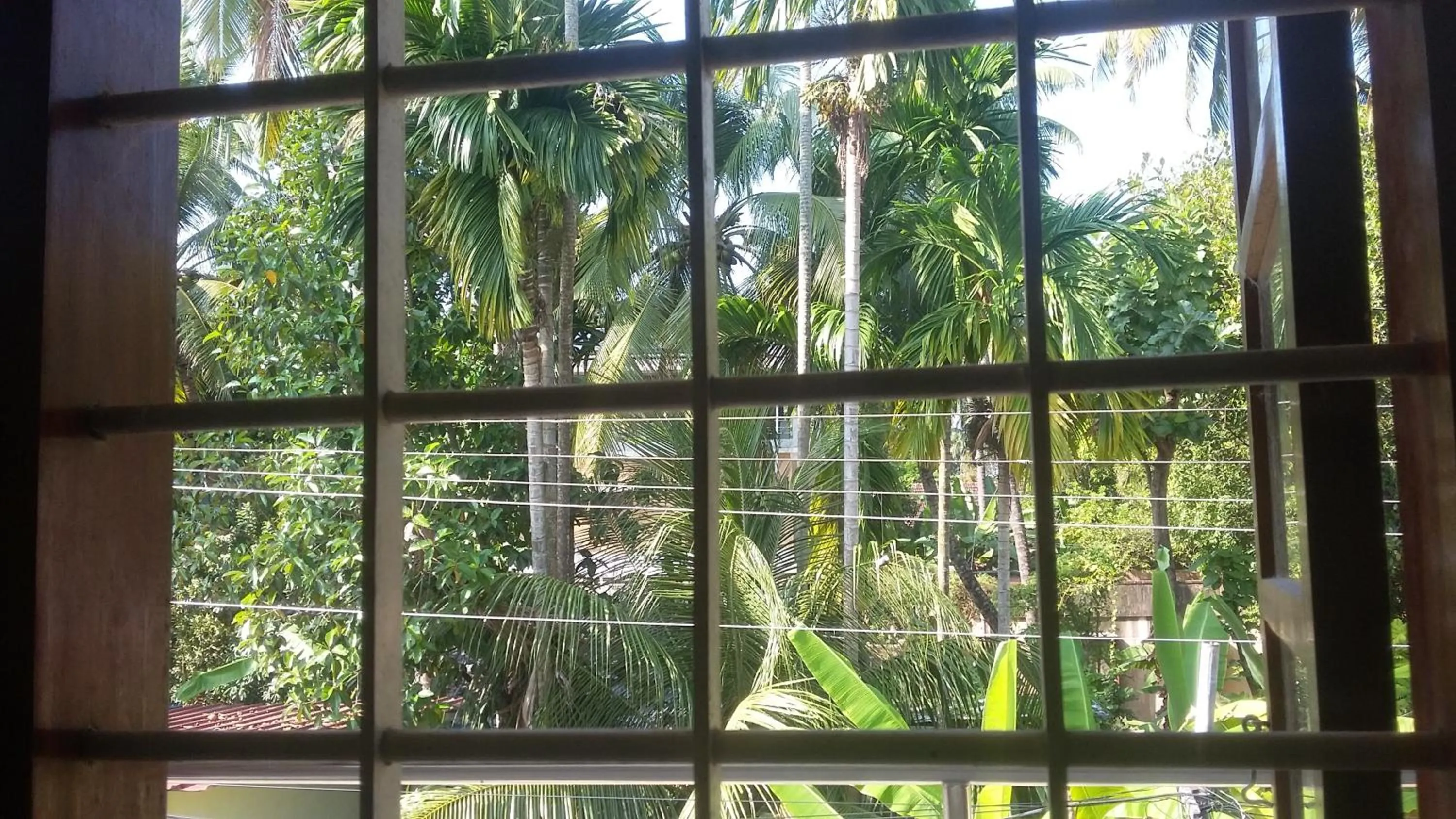 Other in Juliet's Homestay