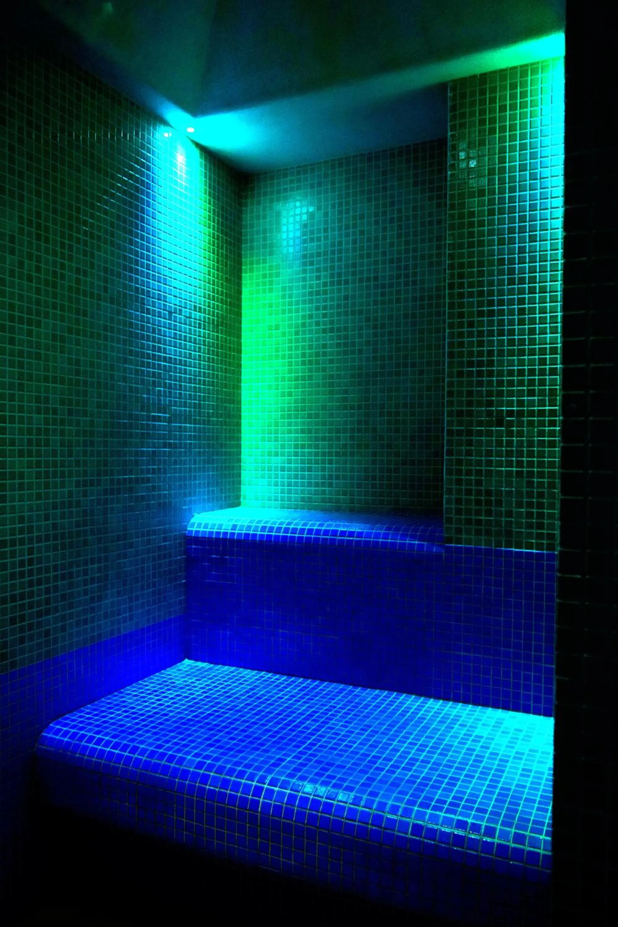 Steam room, Bed in Hotel Vajolet