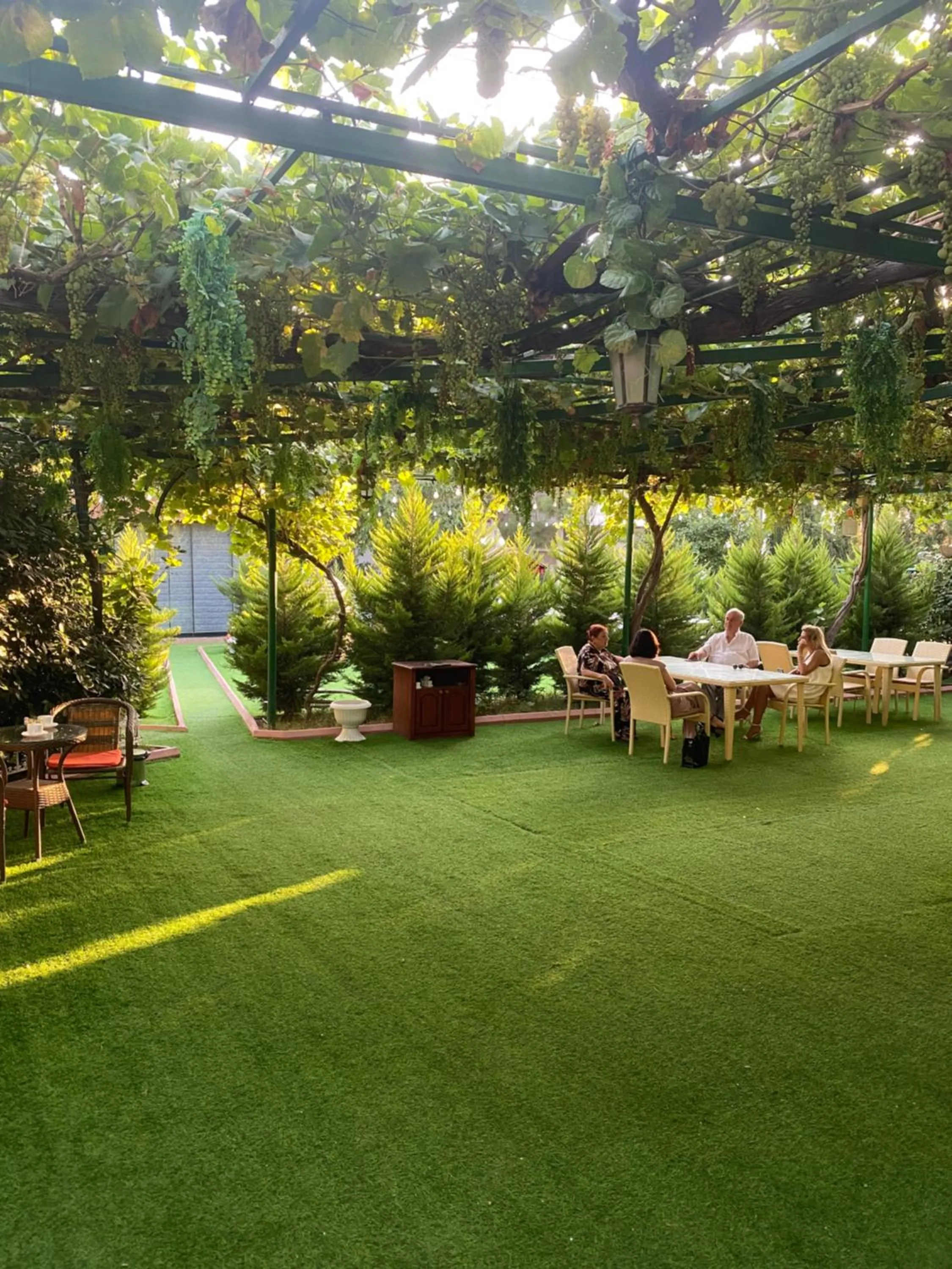 Restaurant/places to eat in Damla Hotel Baku