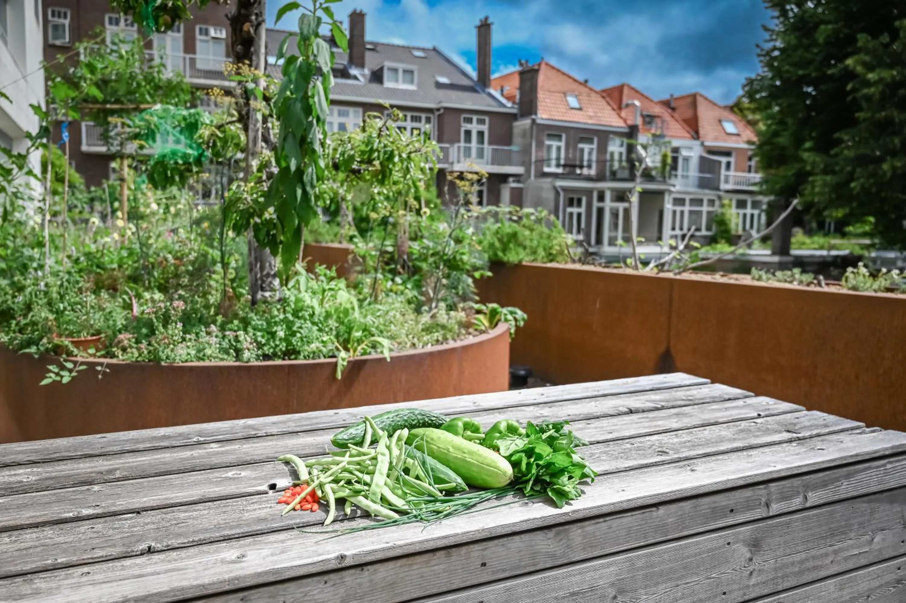 Garden in Court Garden Hotel