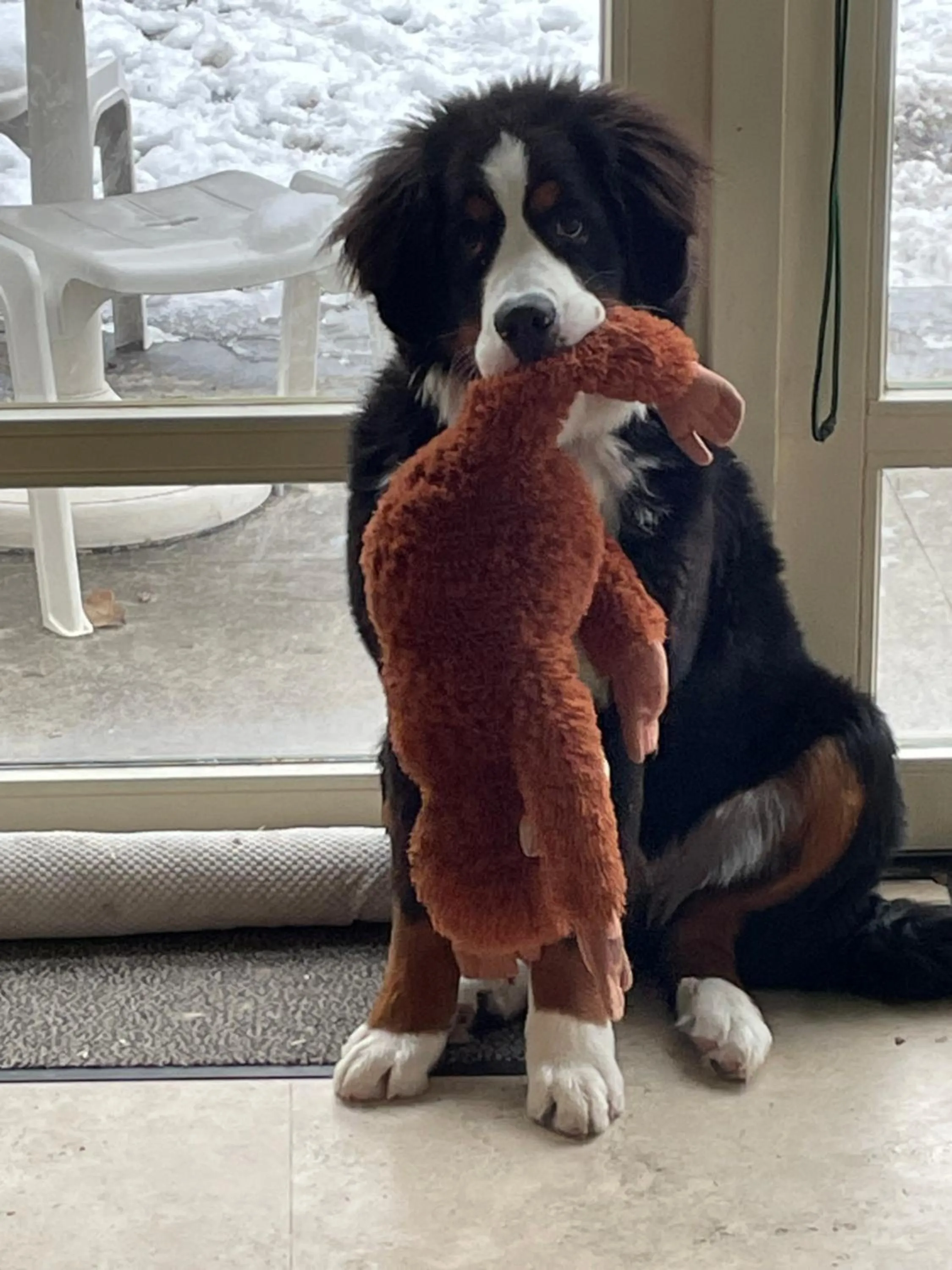 Property building in B&B Maison Saint Tropez Eindhoven