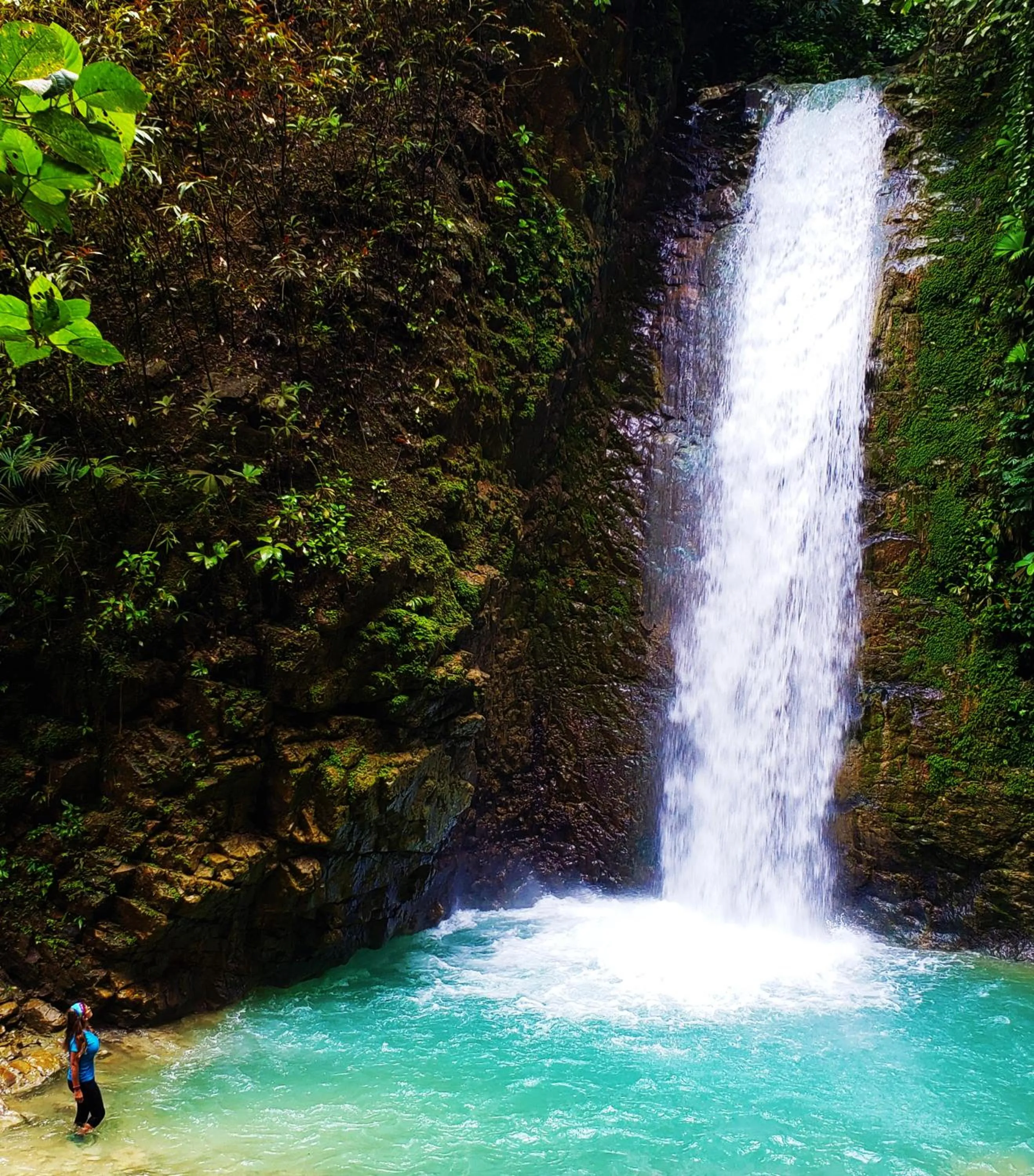 Natural landscape in Casa Linda Vista