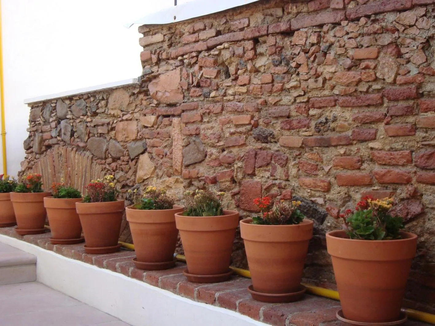 Patio in La Casa del Naranjo Hotel Boutique