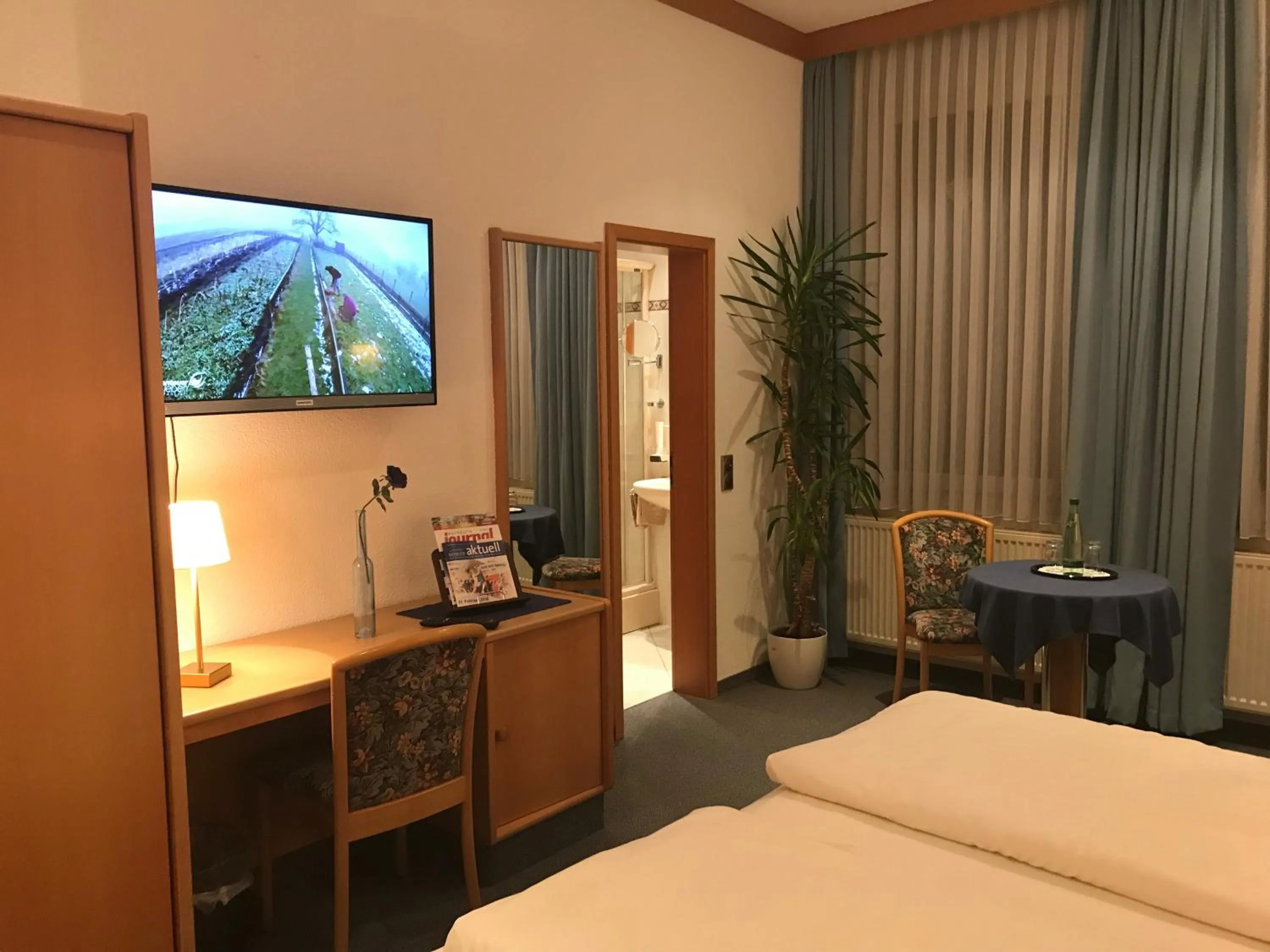 TV and multimedia, Bed in Gasthof & Hotel Goldener Hirsch