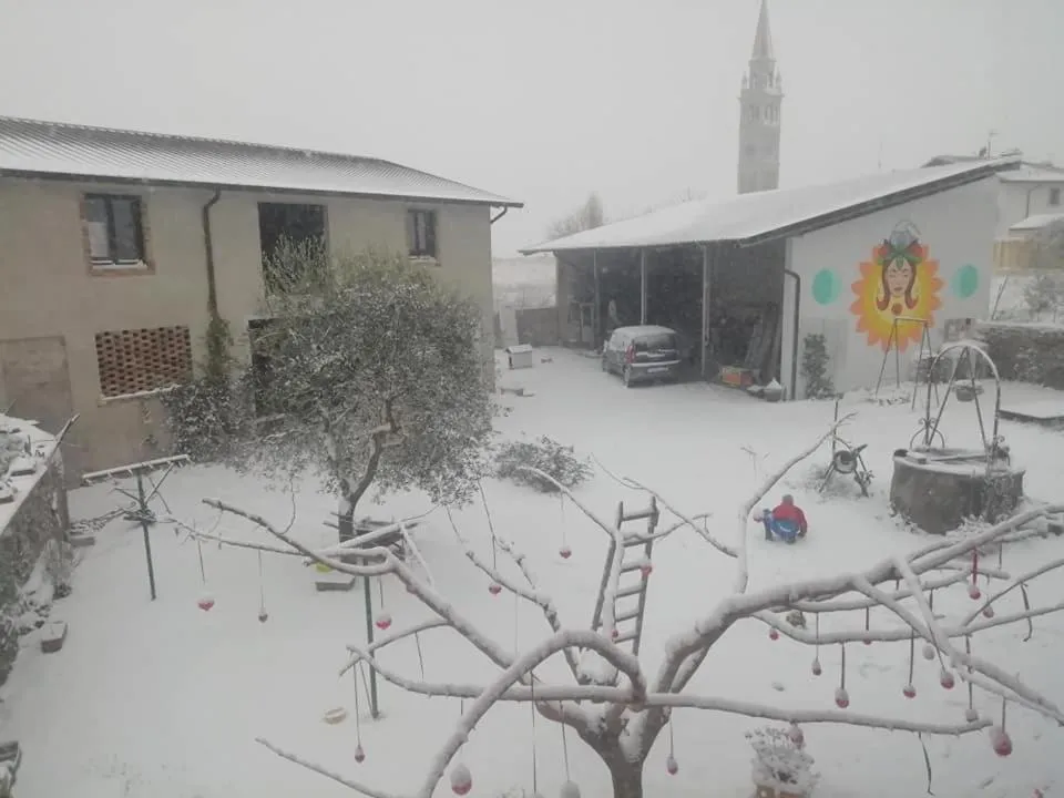 Garden view in B&B Books & Bikes