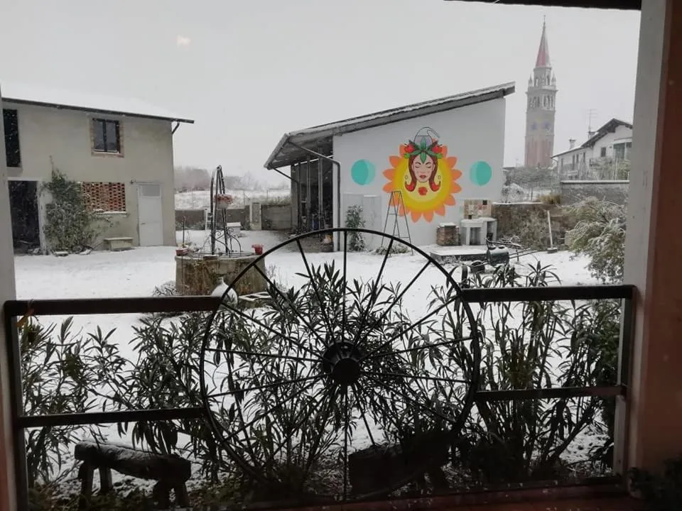 Natural landscape in B&B Books & Bikes