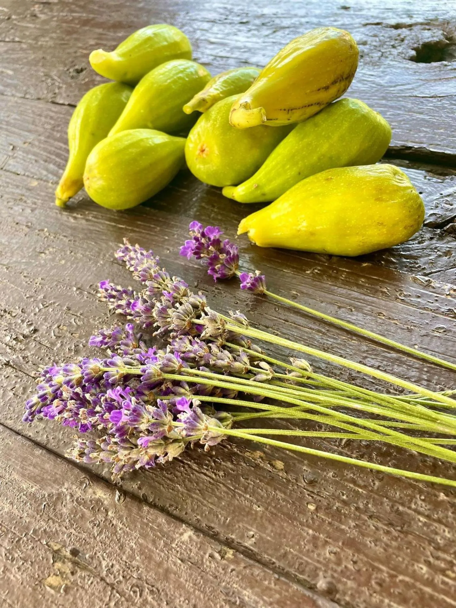 Food in B&B Books & Bikes