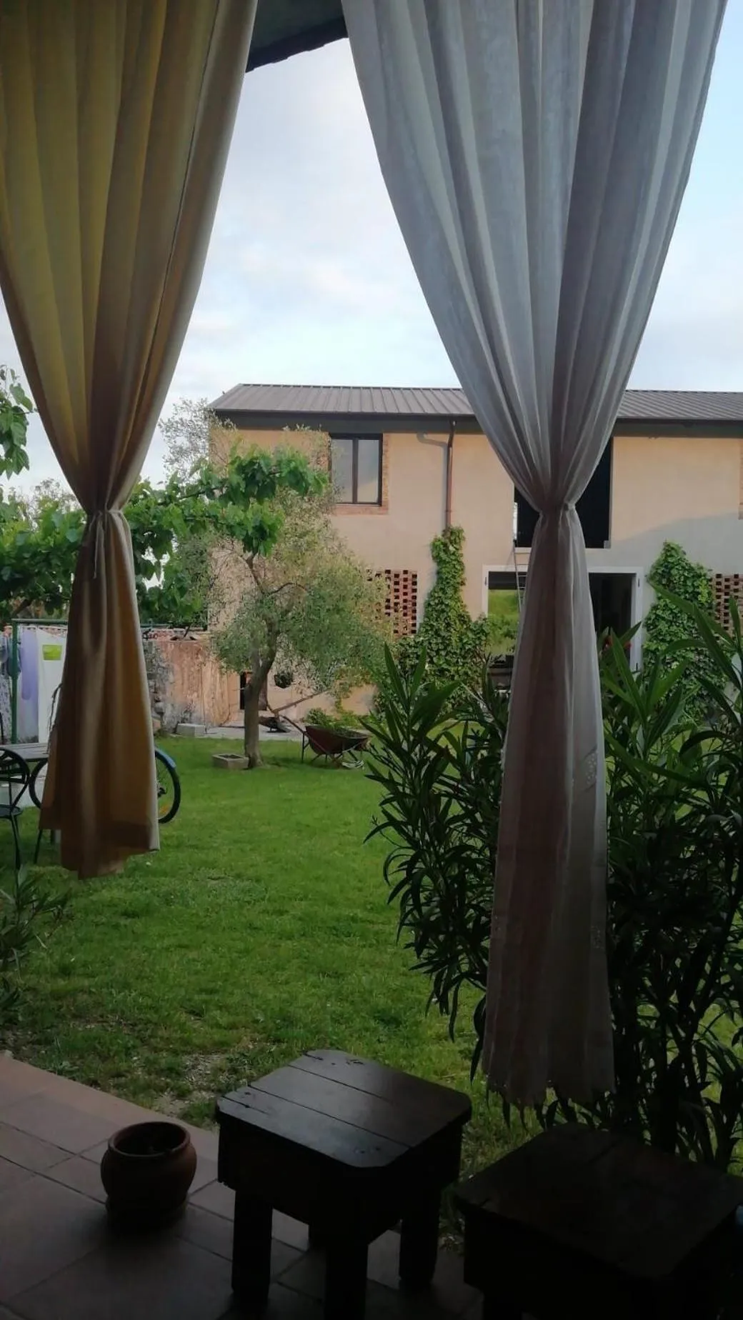 Garden in B&B Books & Bikes