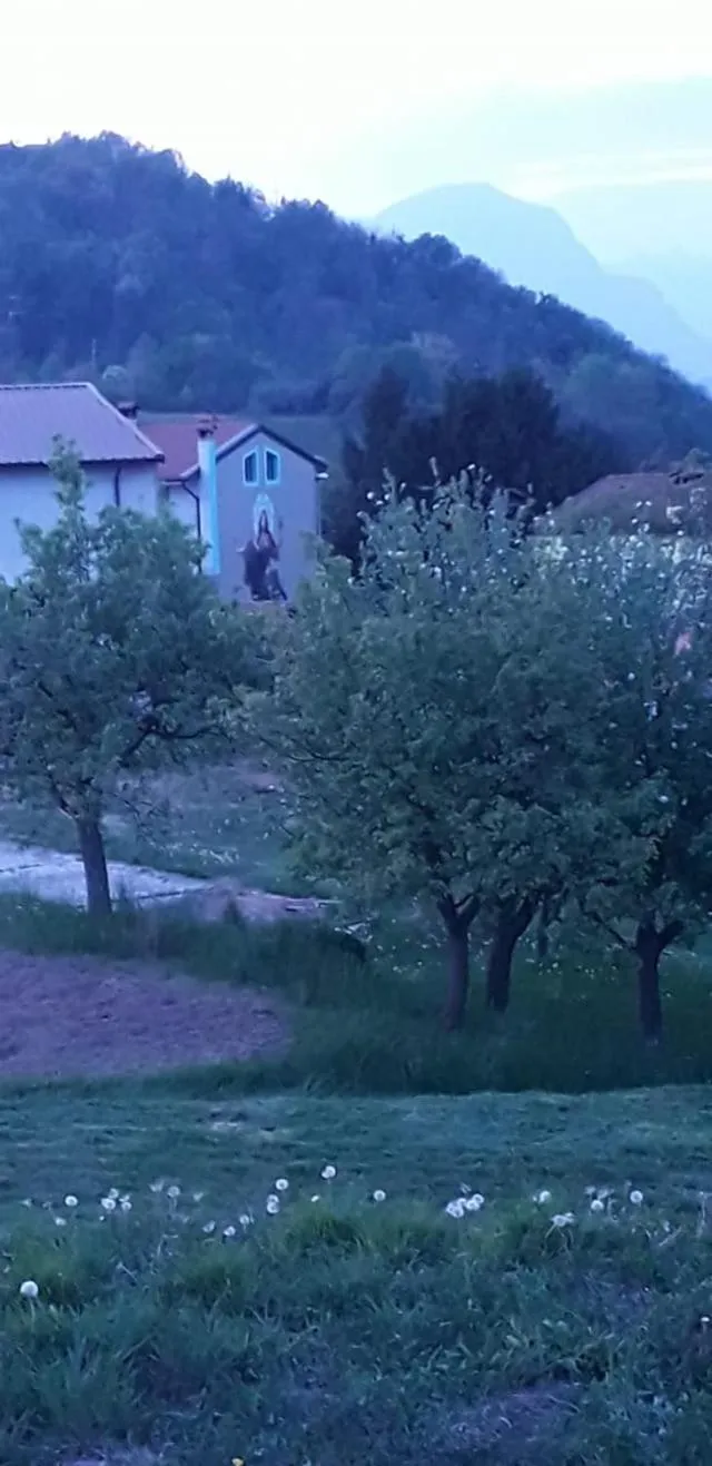 Garden in B&B Books & Bikes